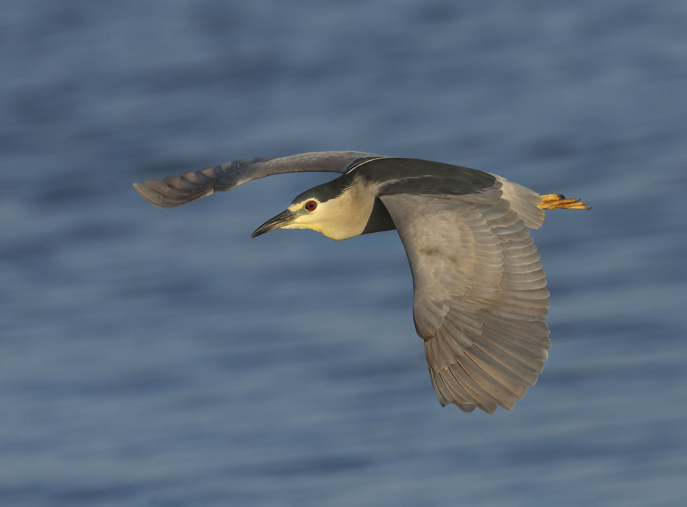try panning fast