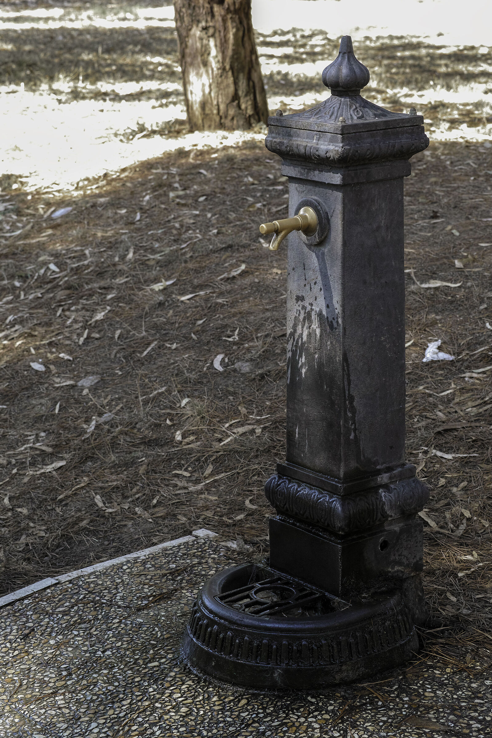 Agosto - Il grande dissetatore