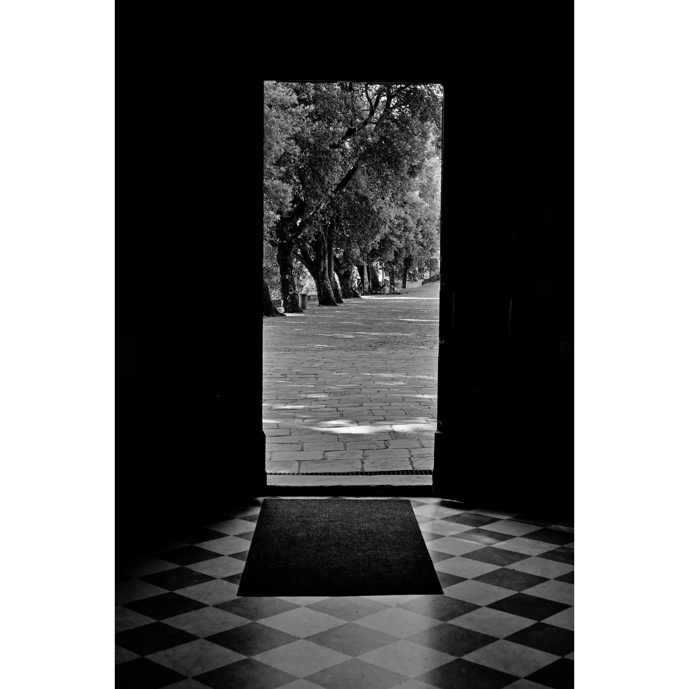 Untitled Photo