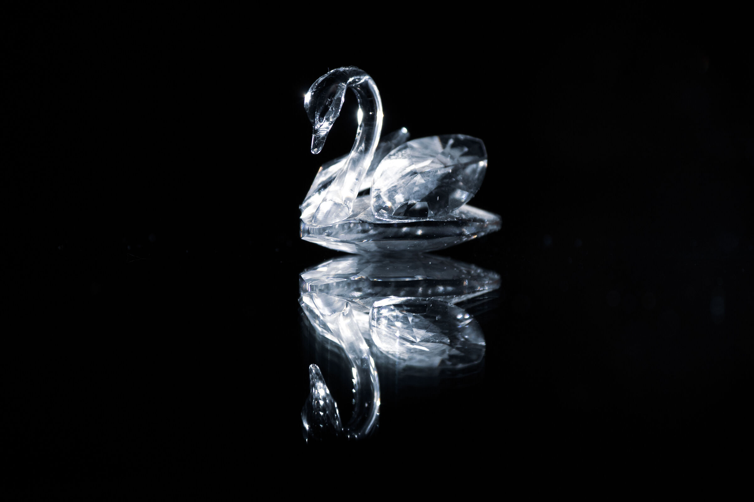 Reflections in the dark