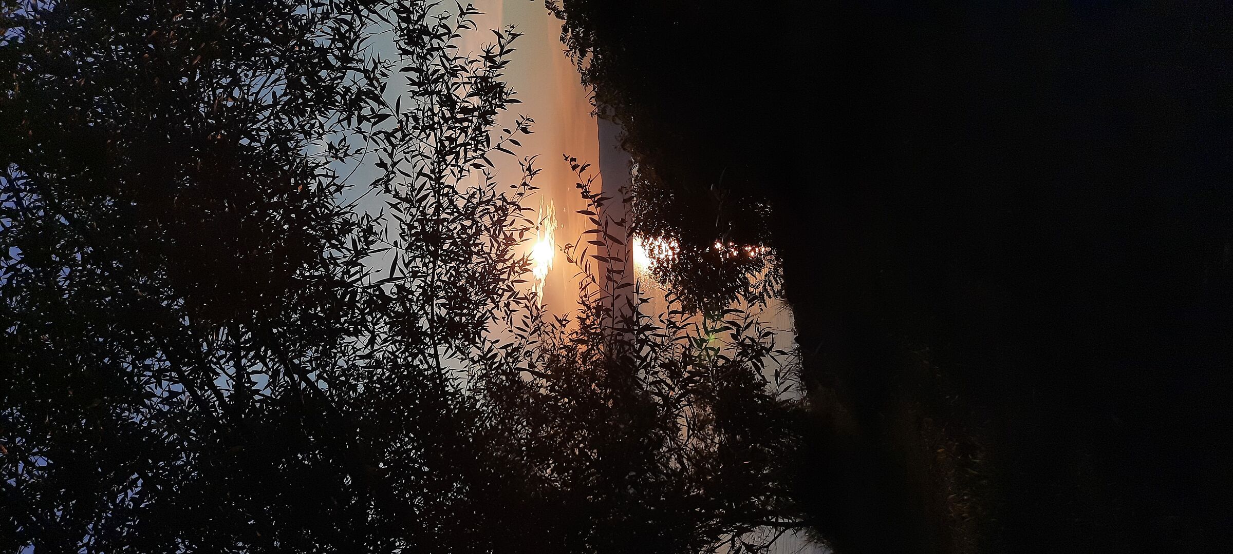 Untitled Photo