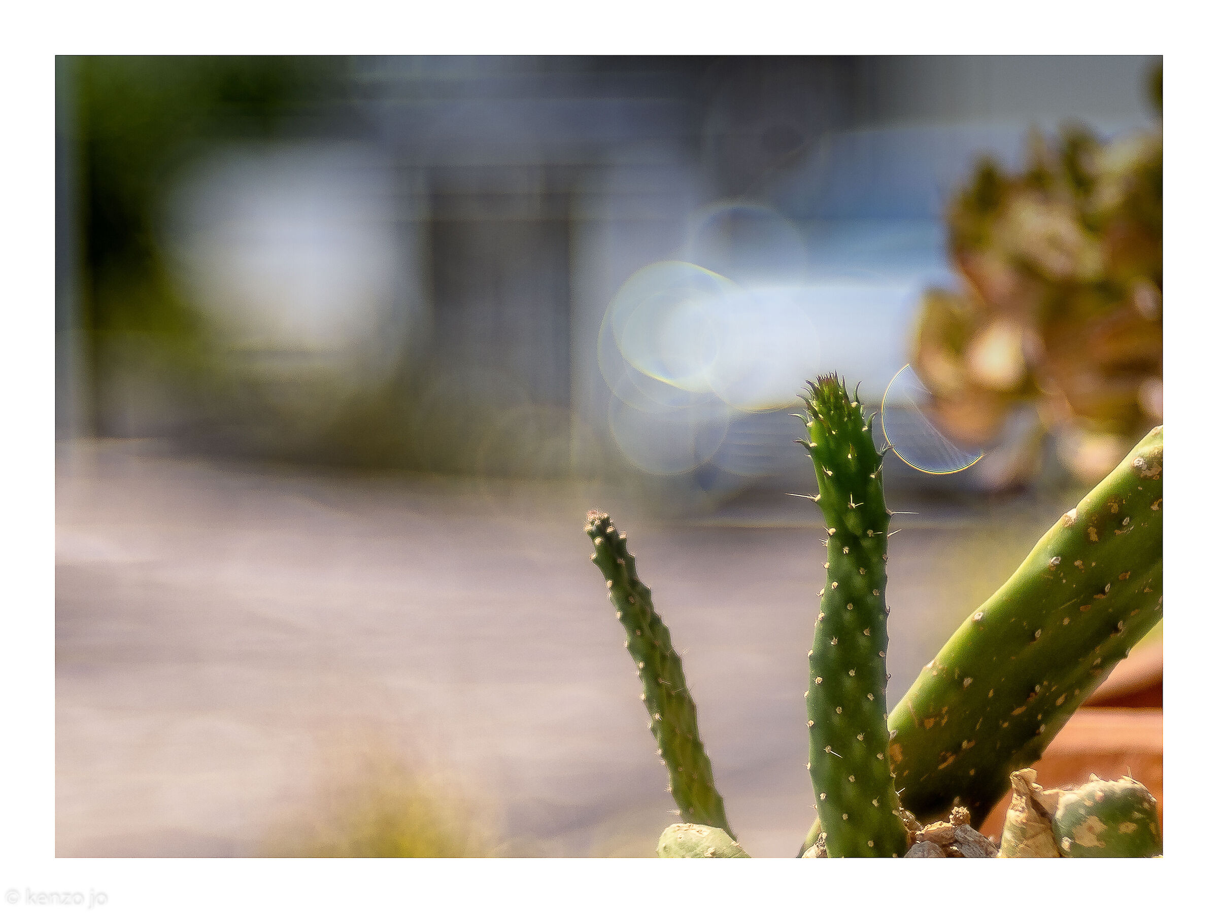 Il brutto anattroccolo