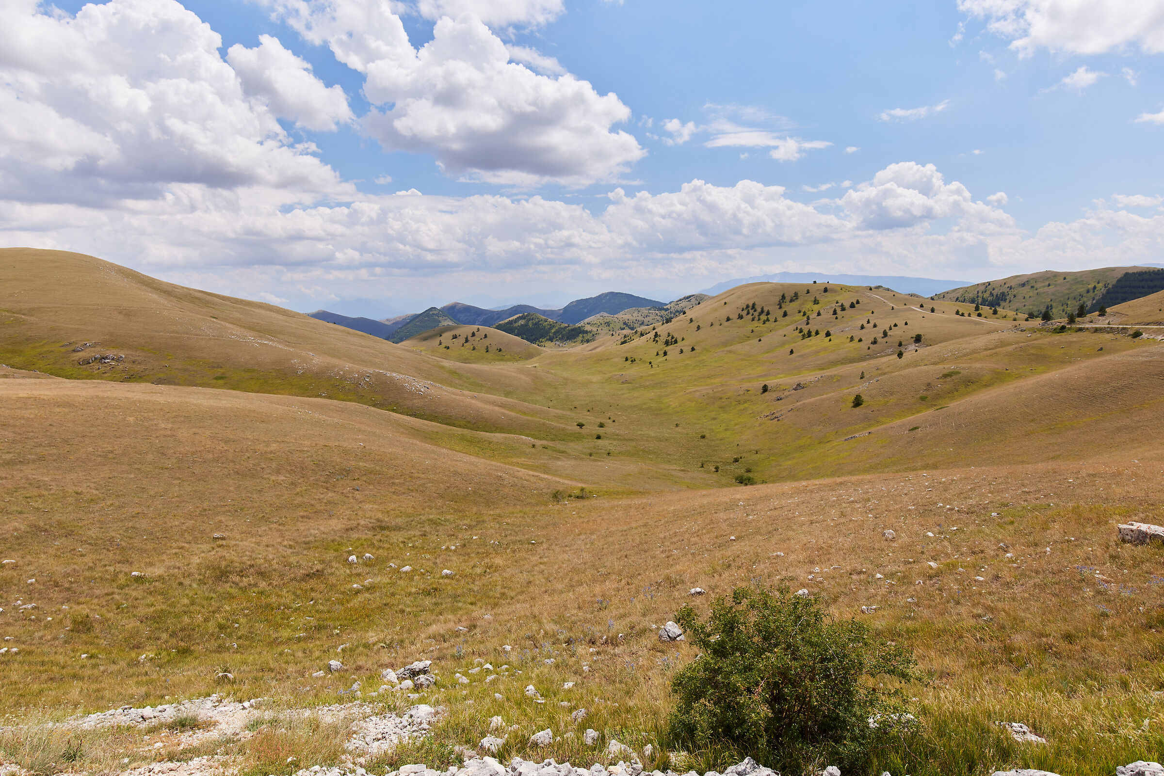 Campo Imperatore (AQ) August 2022