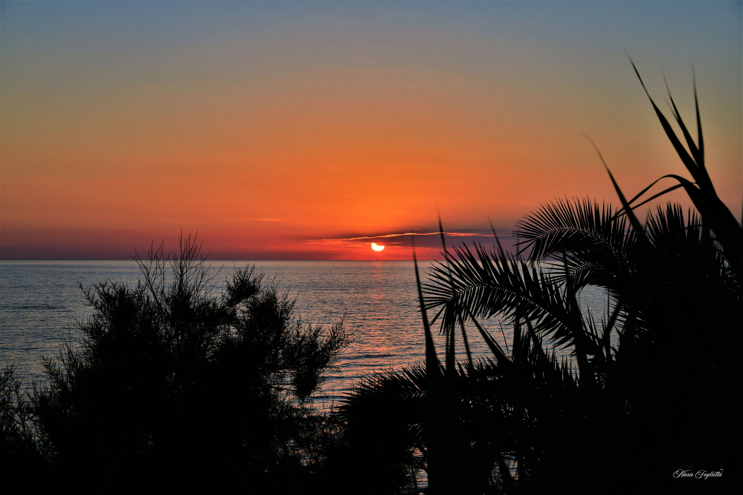 Get out of the house and run to watch the sunset