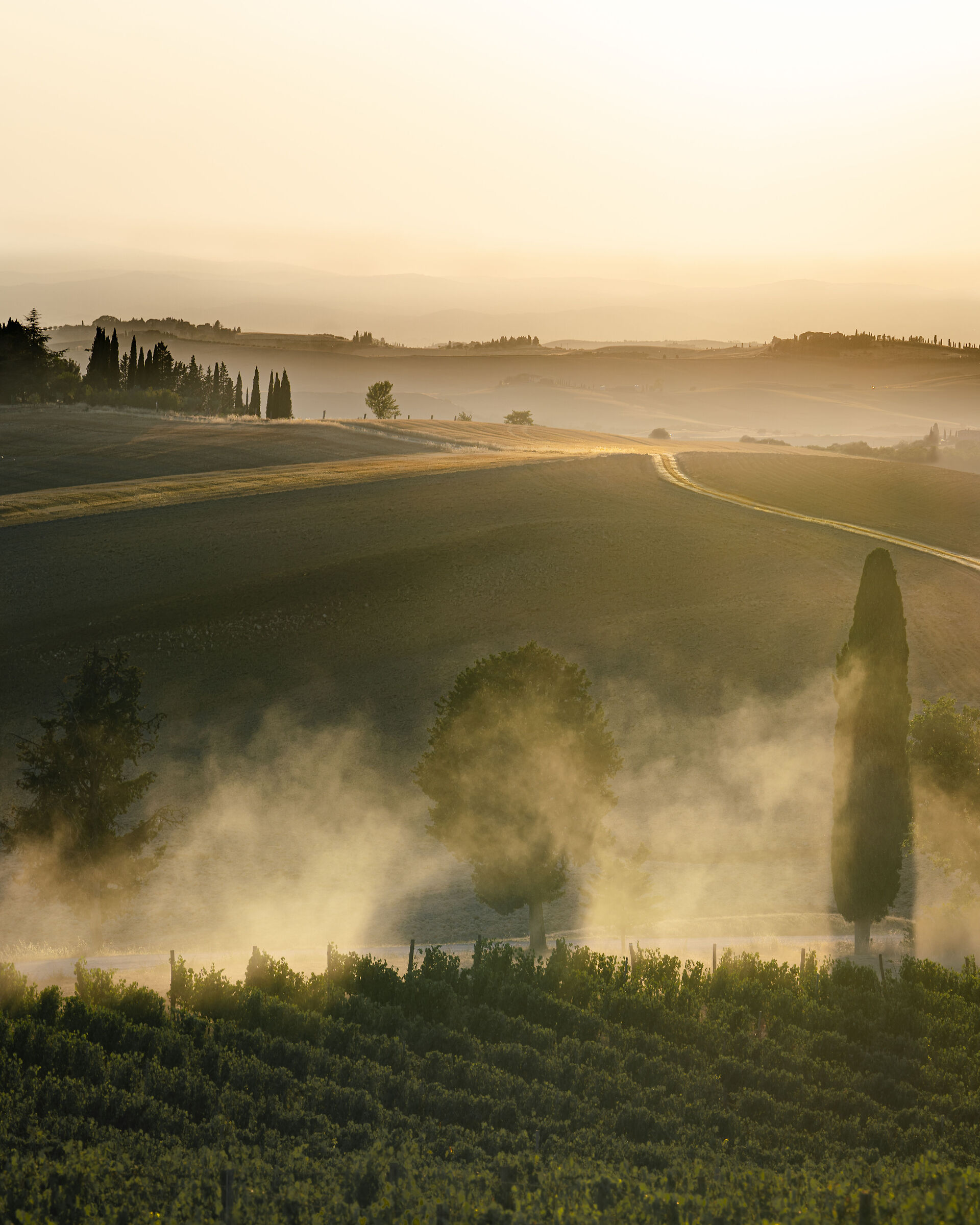 VAL d'orcia