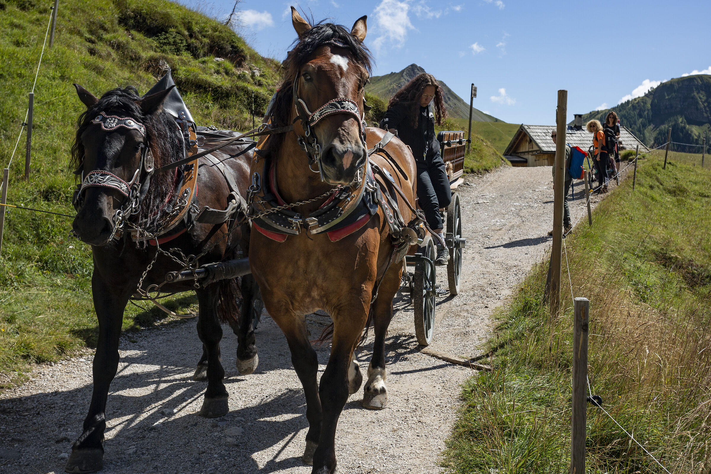 In carrozza al Fuciade