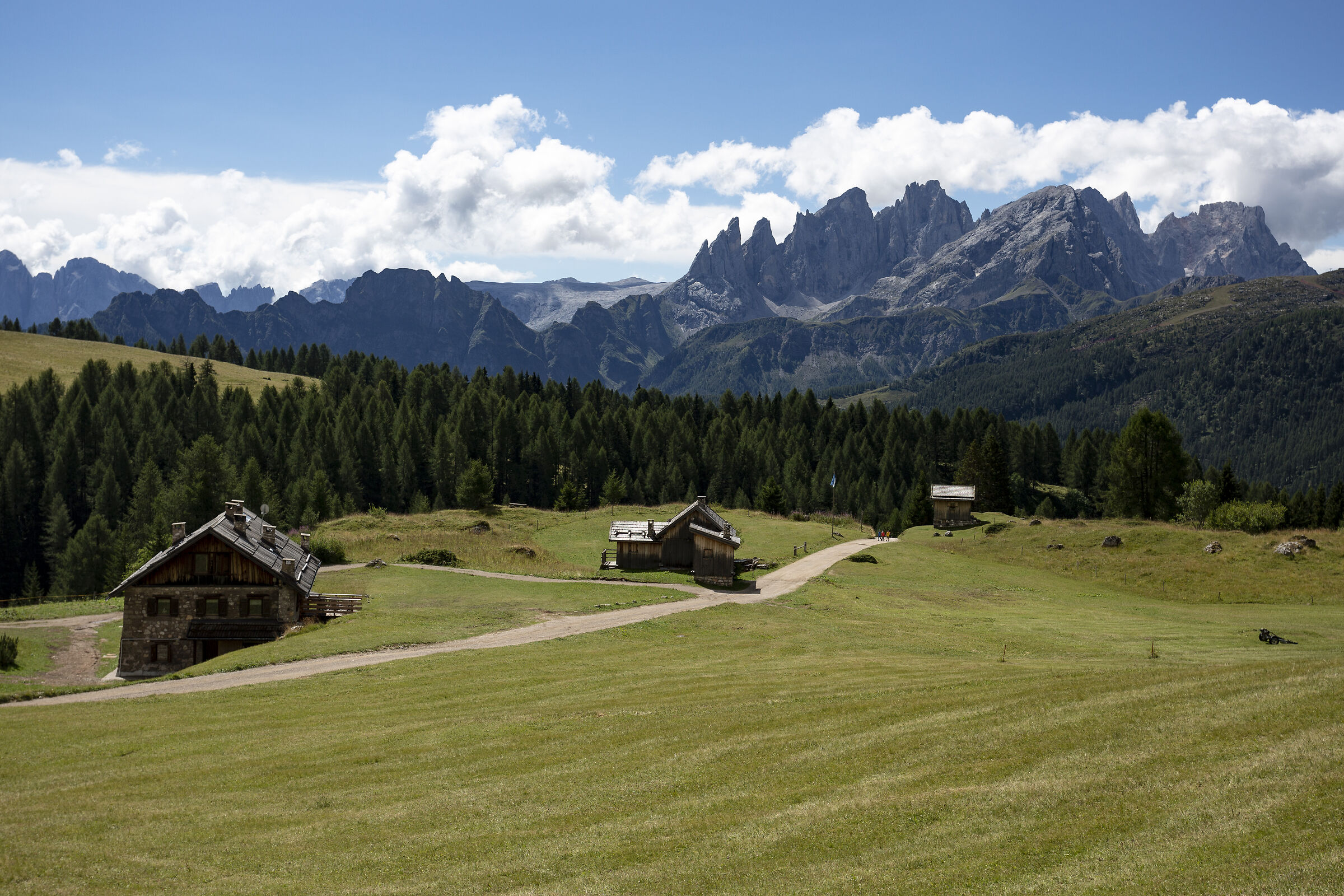 Sguardo verso le Pale