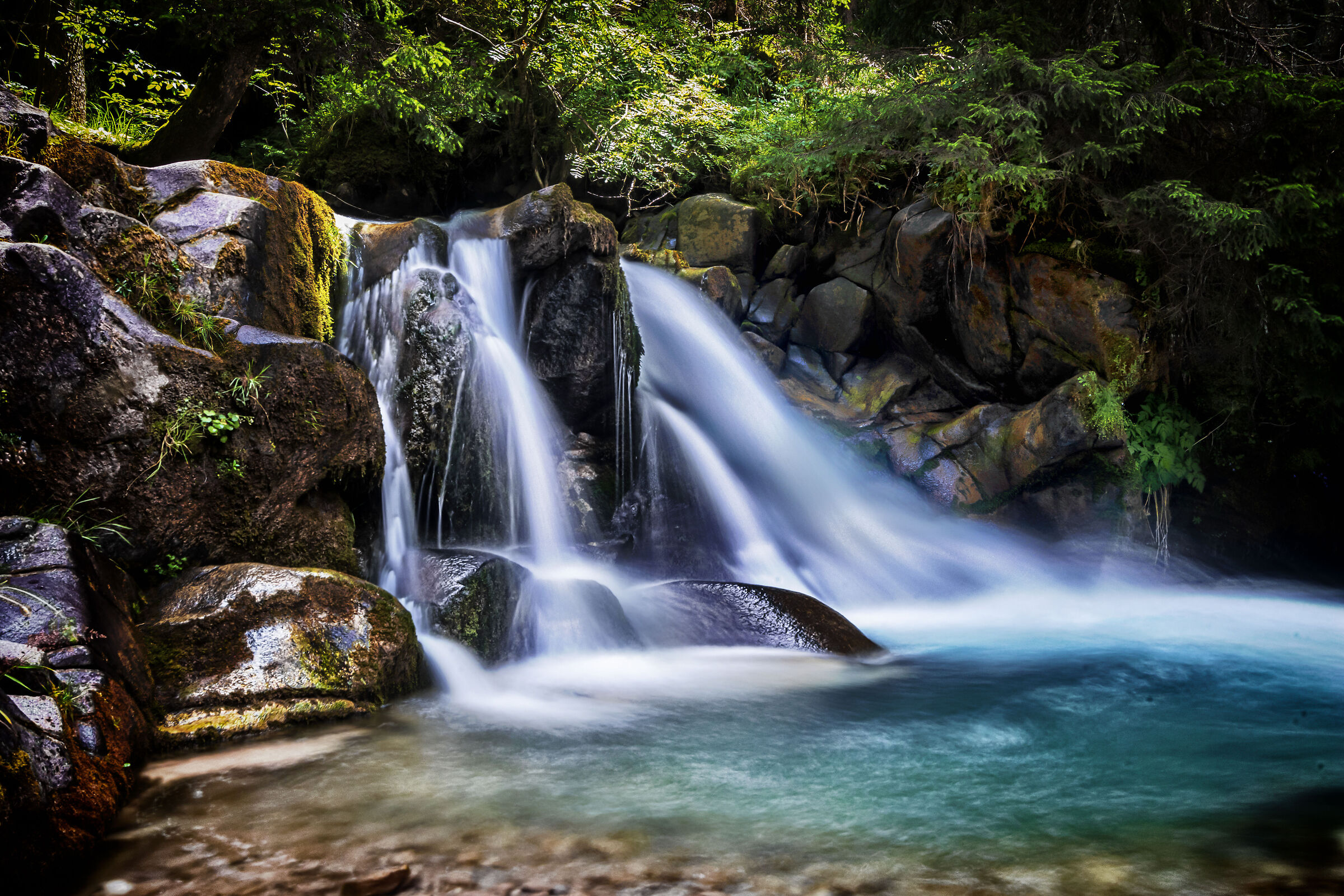 Val Venegia, Paneveggio