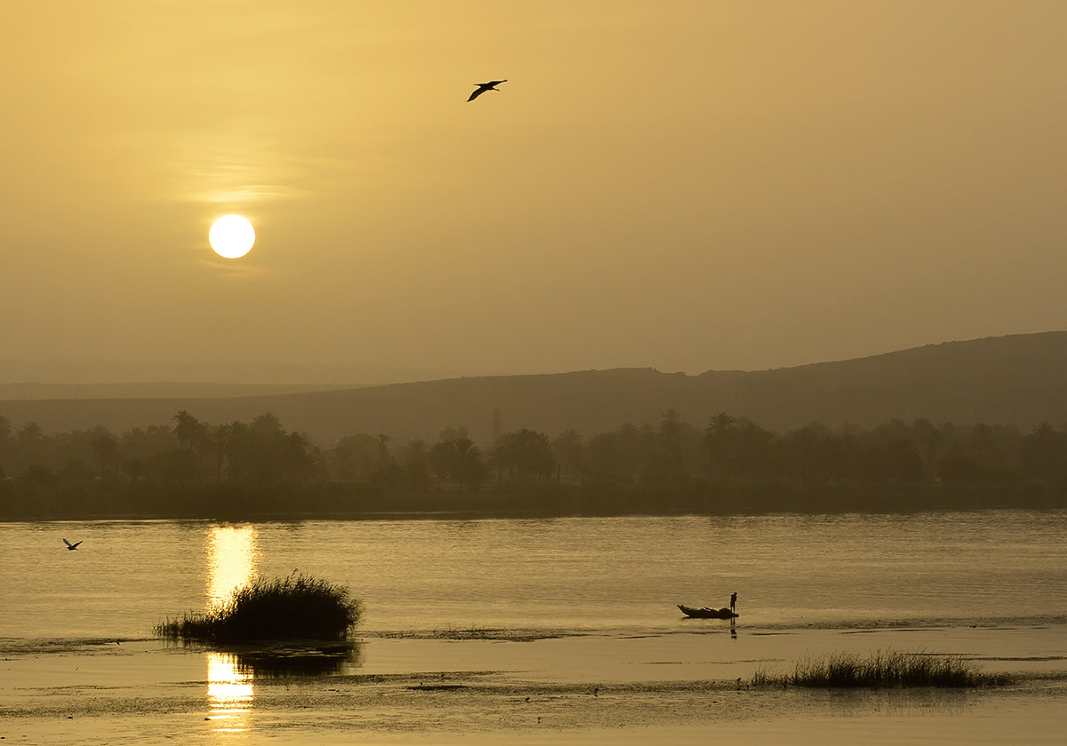 Golden sunrise on the Nile