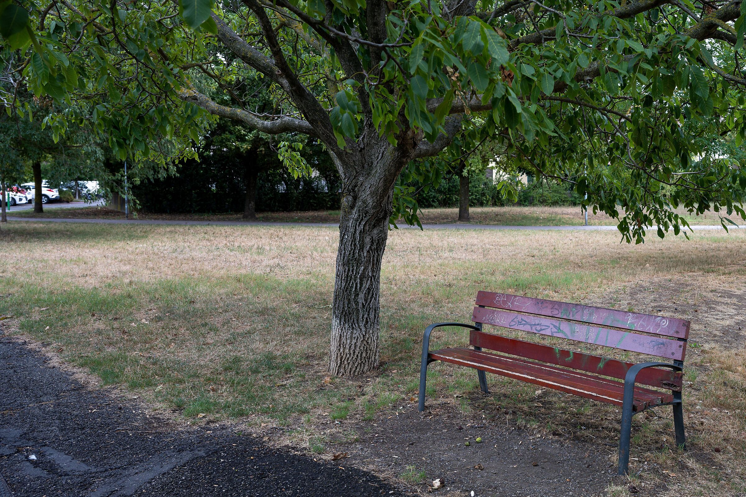 test new nikkor z24/120