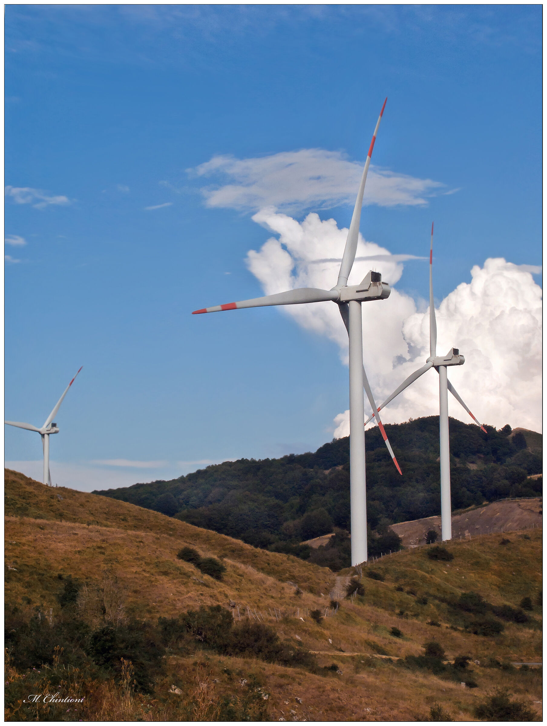 ... the value of the wind