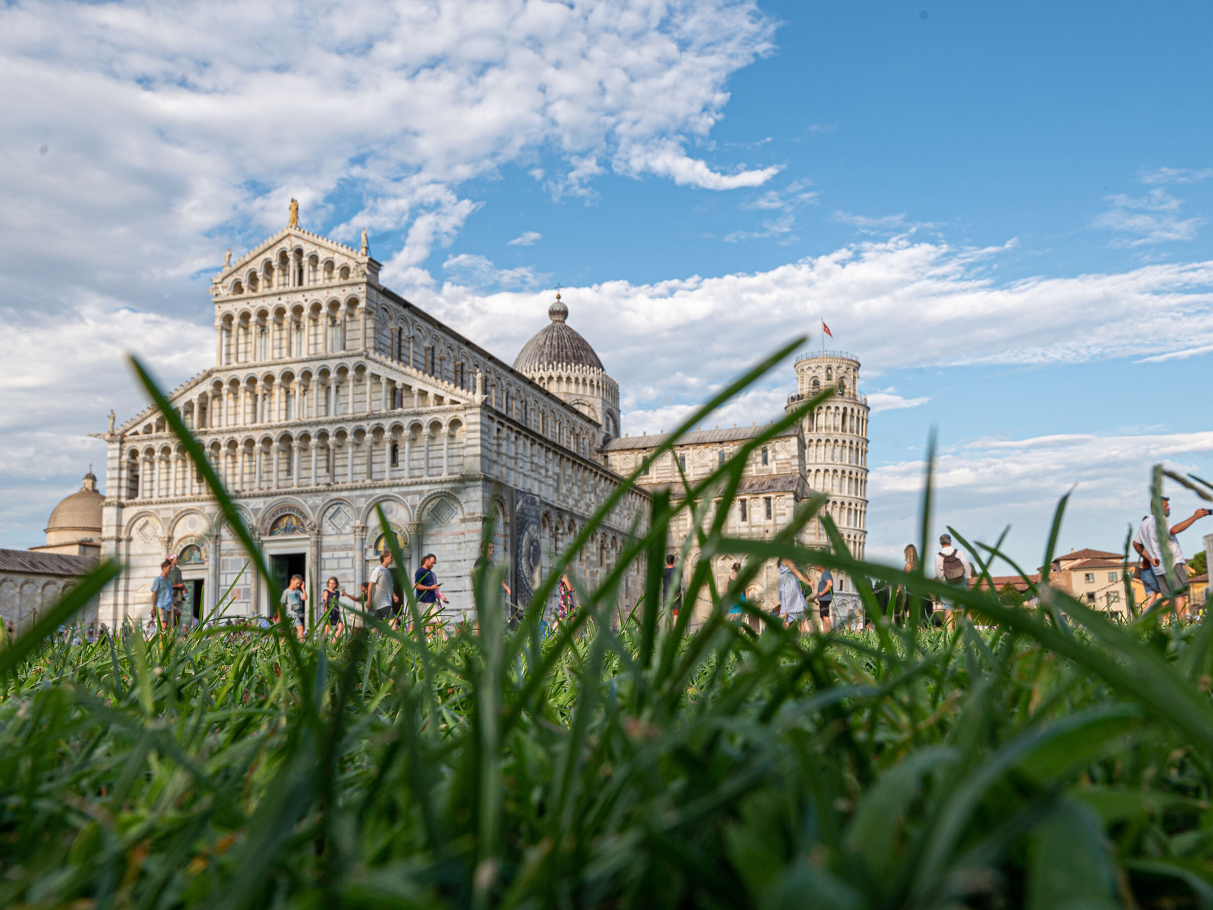 La torre vista dalle formiche