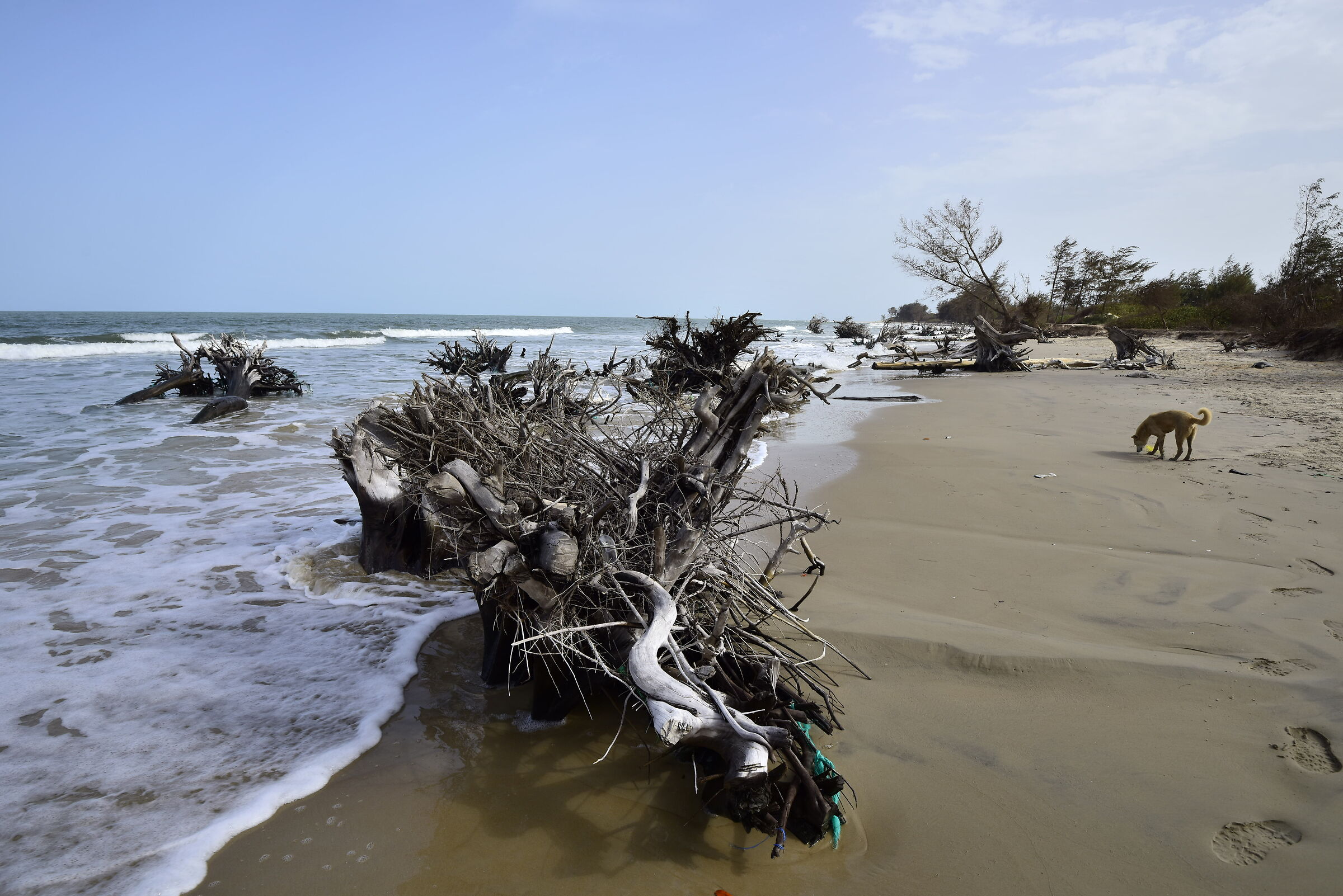 Along the coast in Diembereng