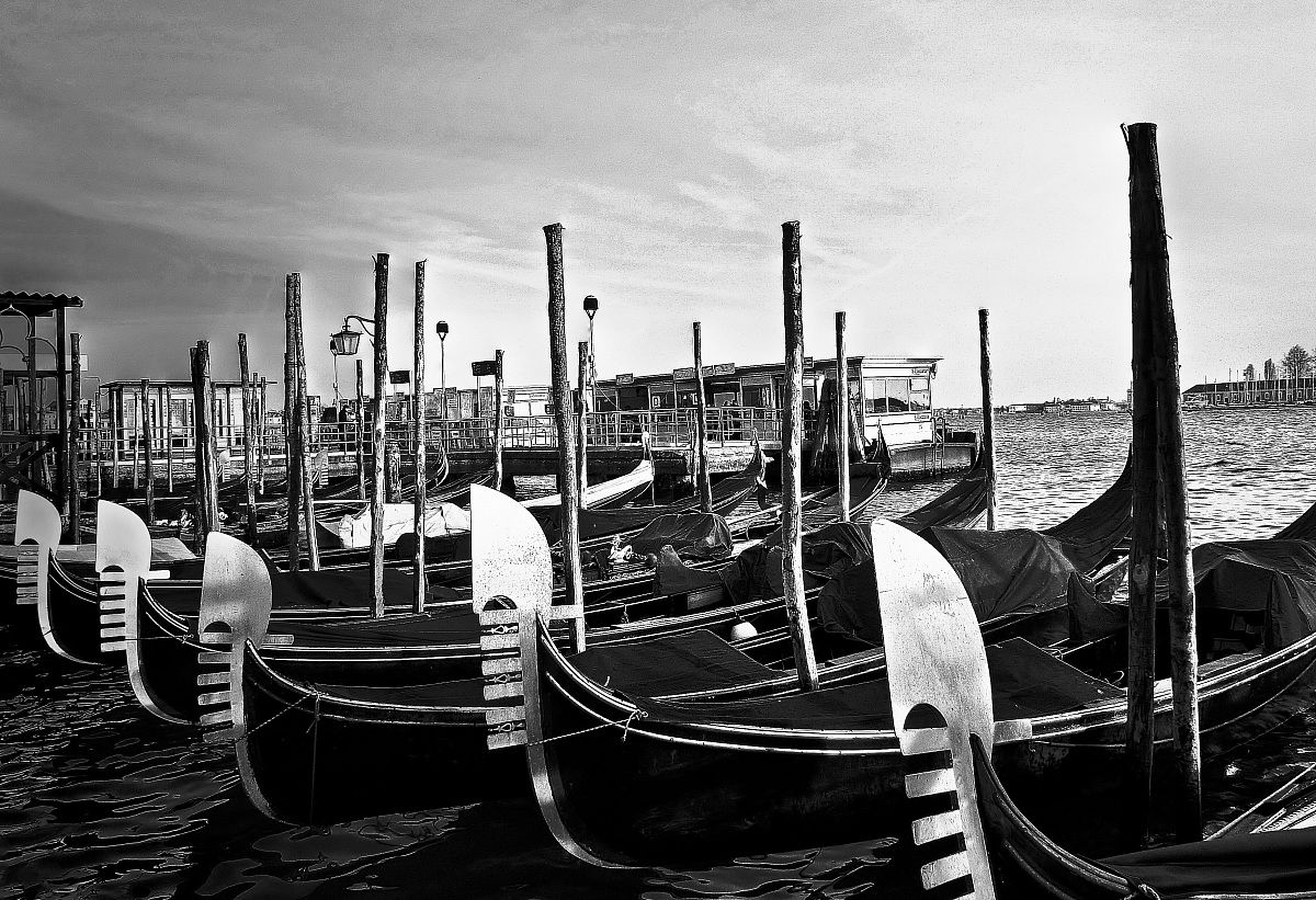 Venezia e il suo simbolo più antico
