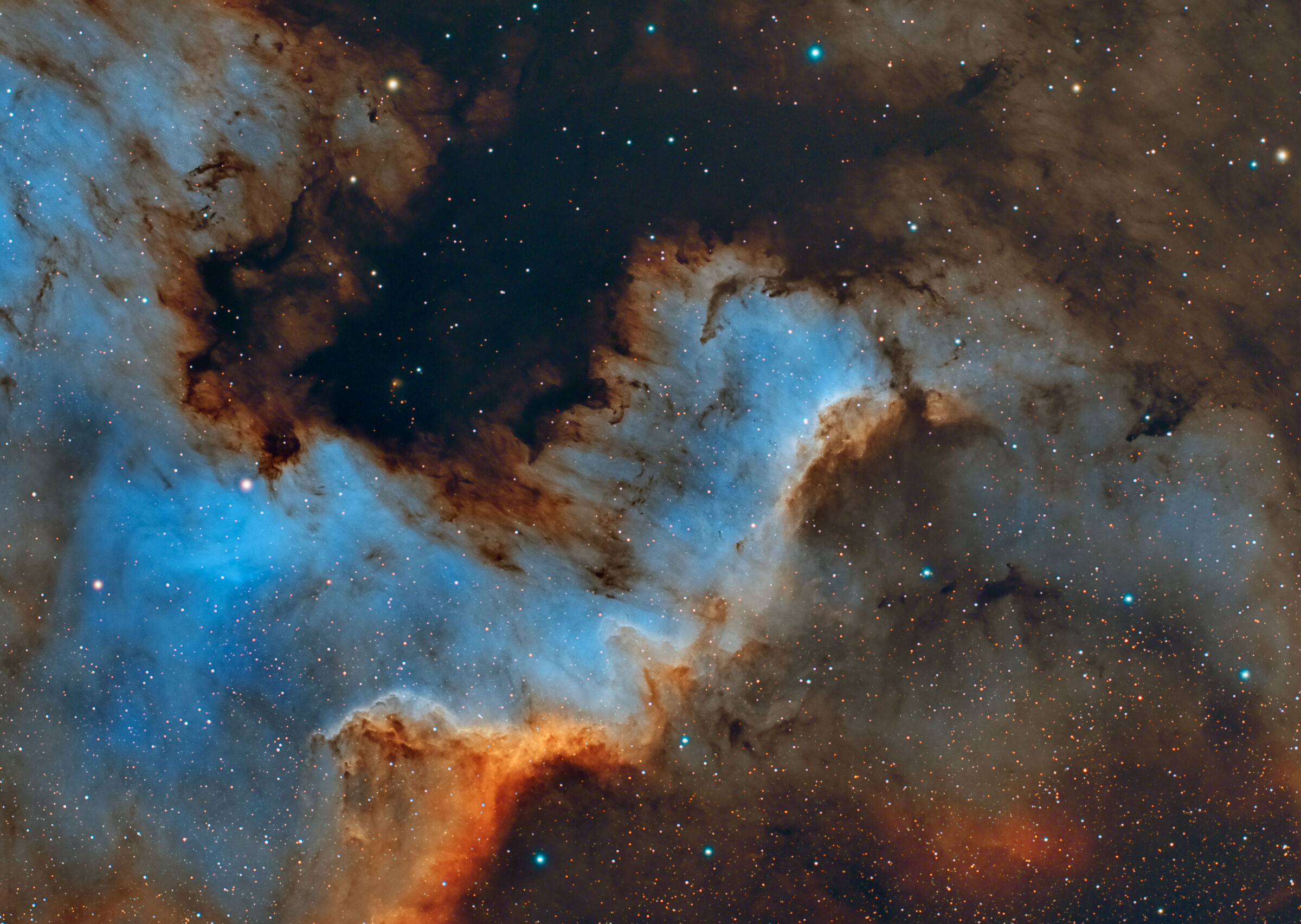 Cygnus Wall ii