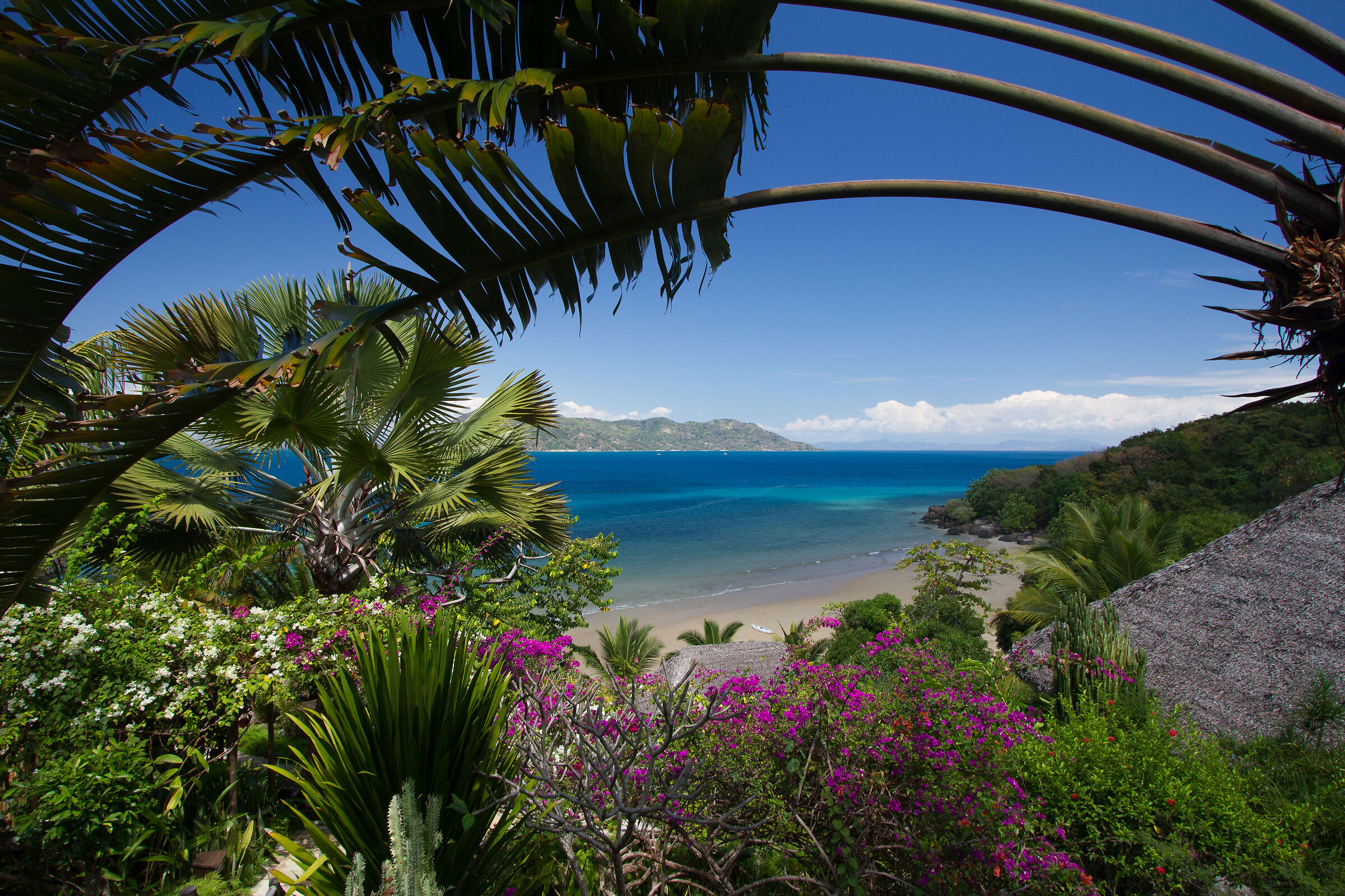 Peeking at the sea
