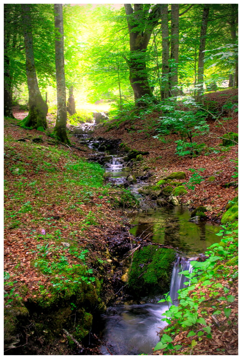 Walking along the Fondillo valley