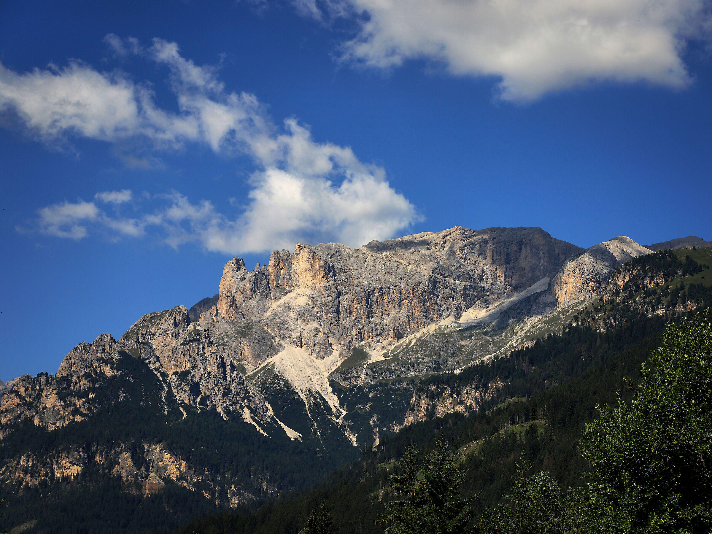 Rosengarten