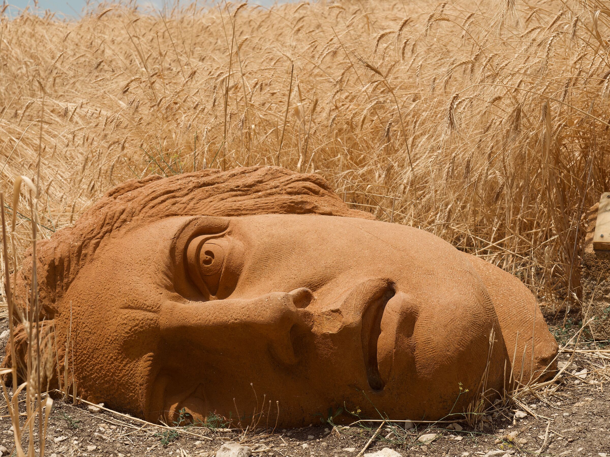 ... but first look at me!!