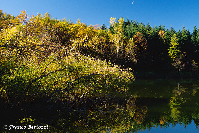 autunno al lago