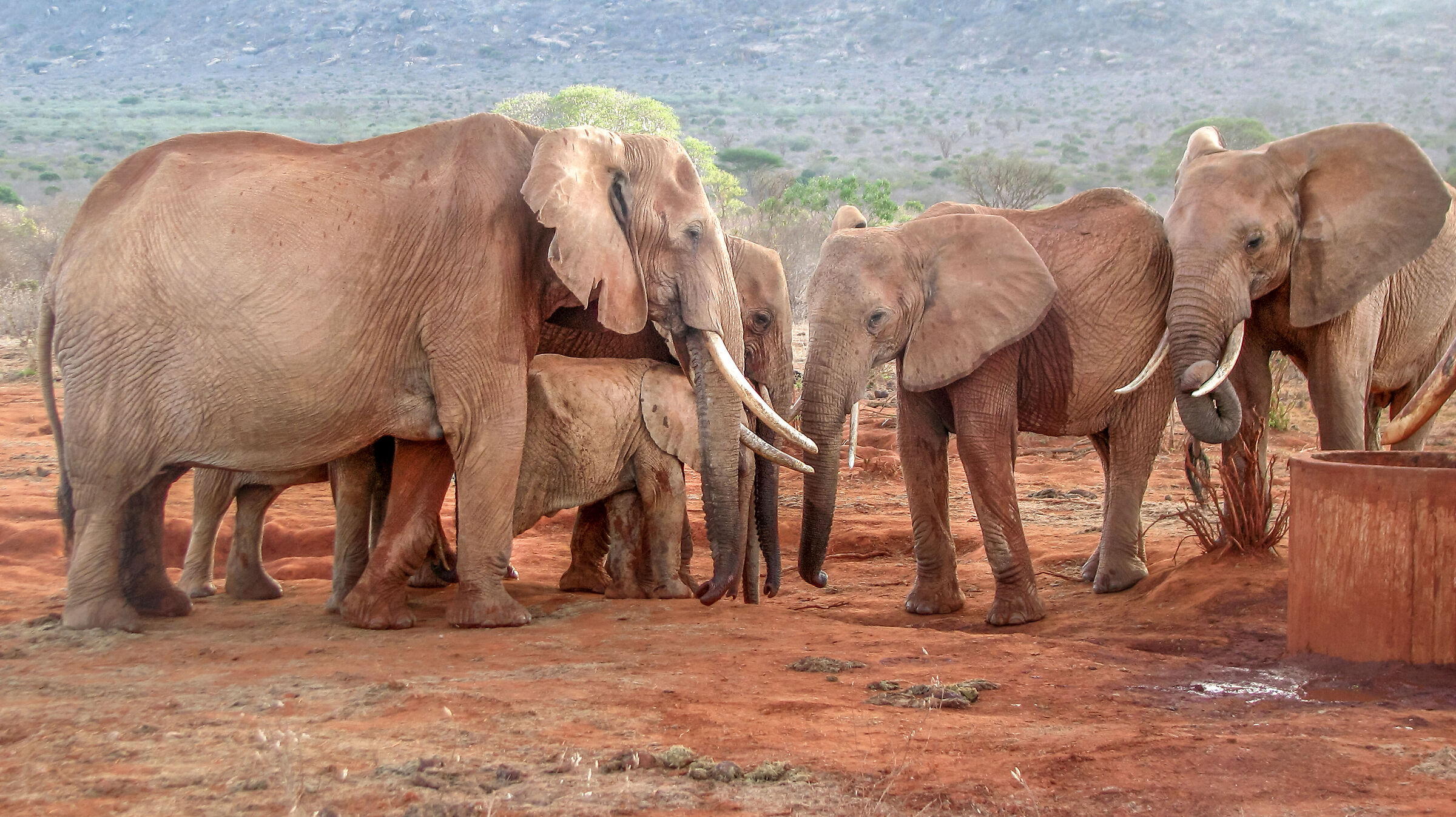 Family aperitif in Kenya