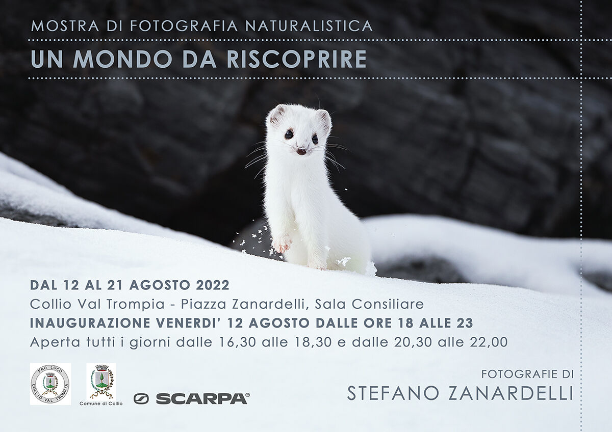 A world to rediscover