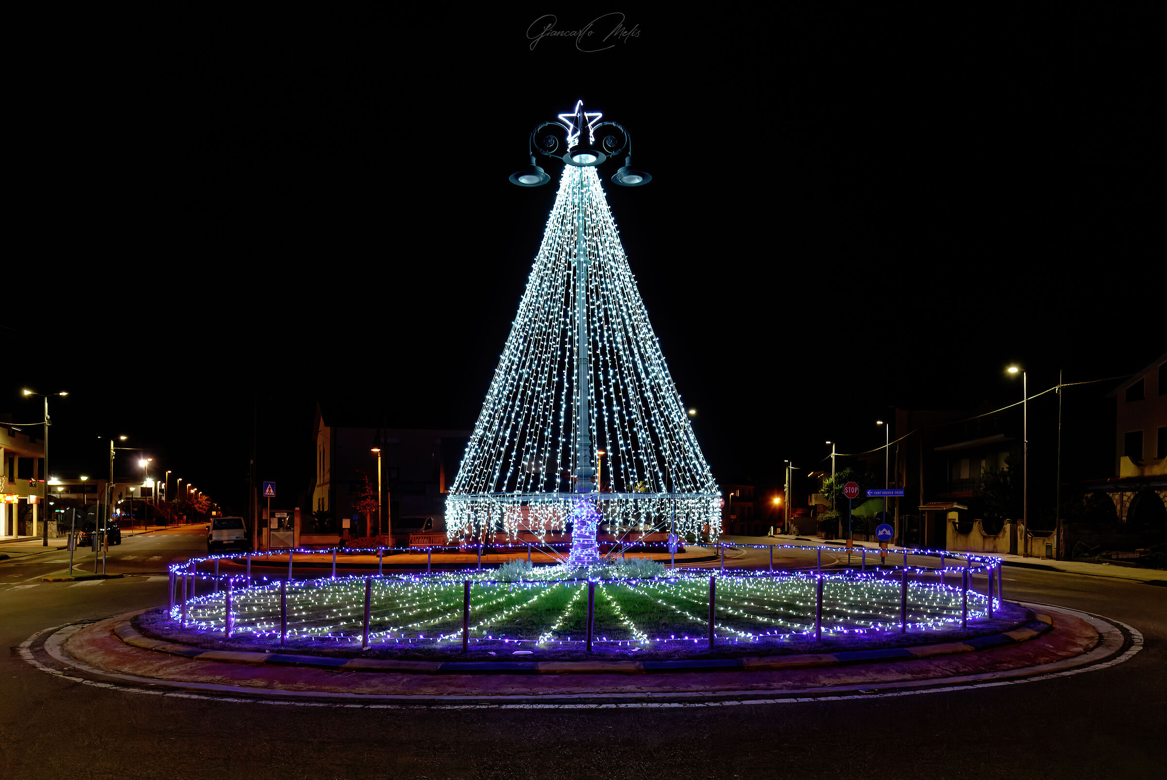 The Christmas tree