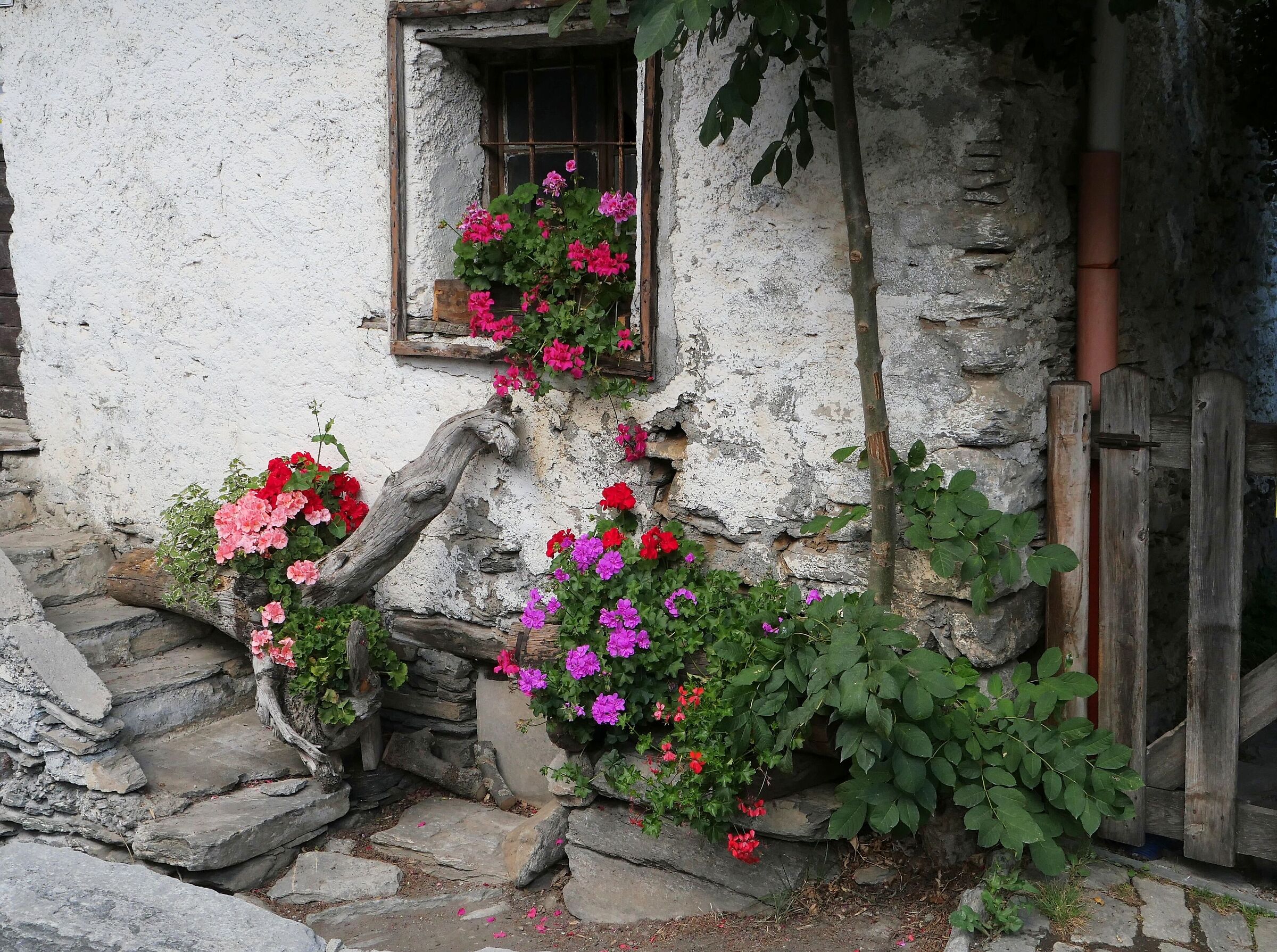 Angolo di paesino montano