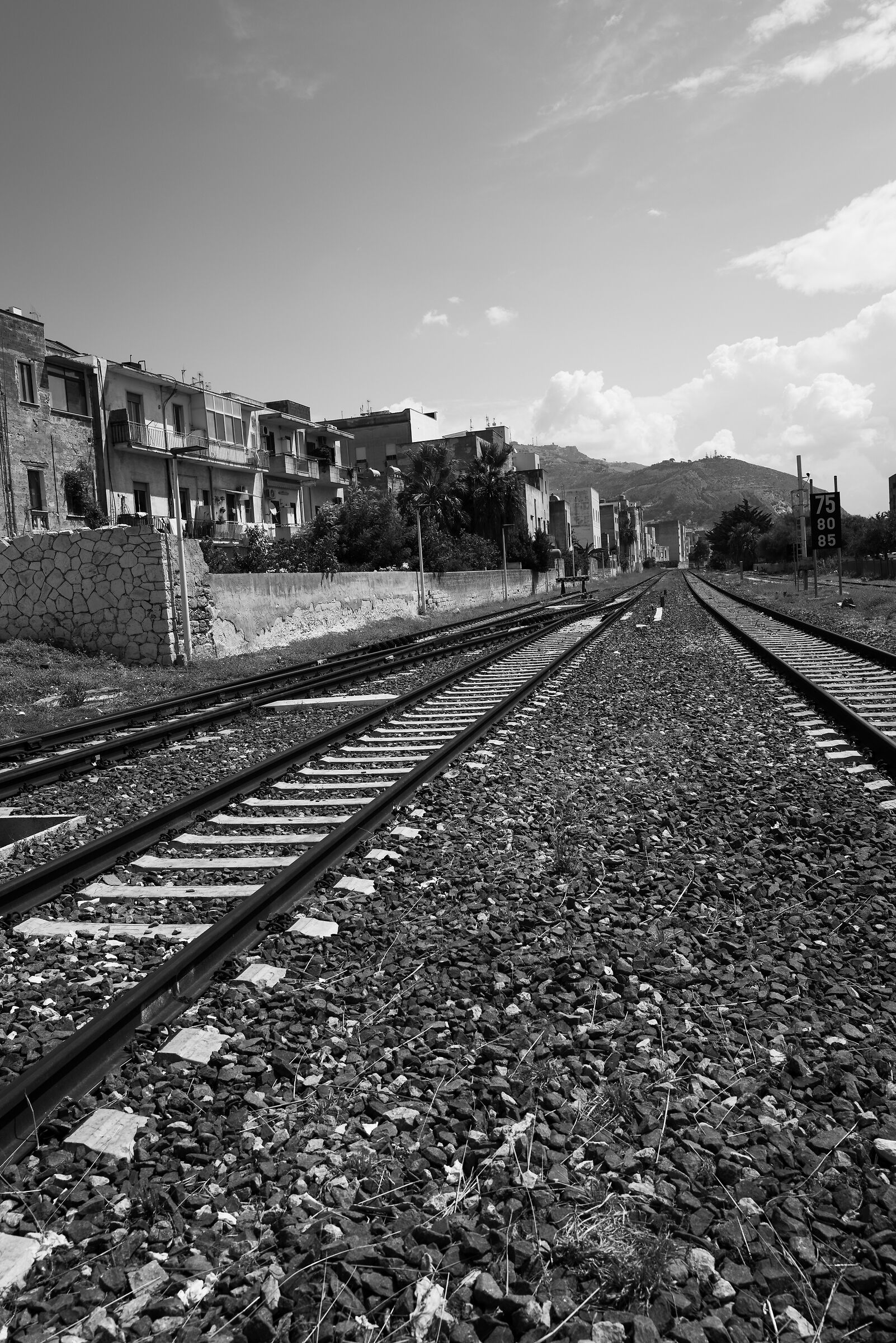 Trapani