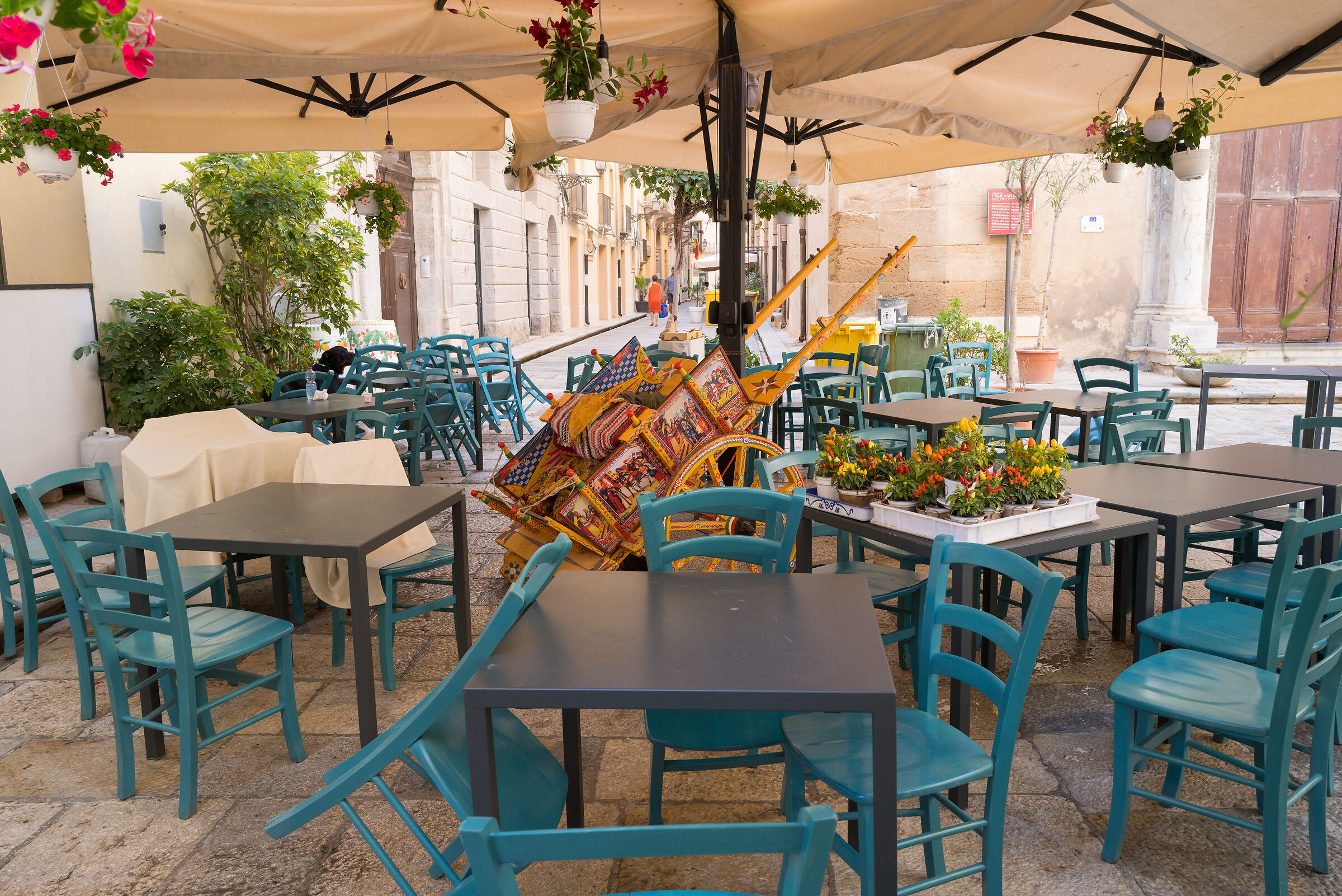 Trapani