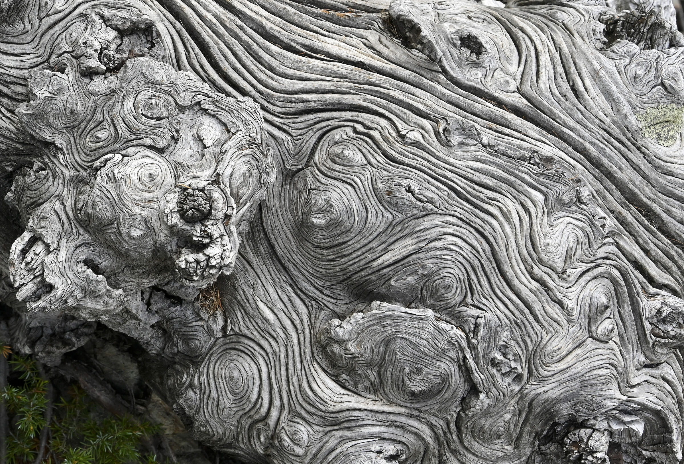 Le correnti del tempo