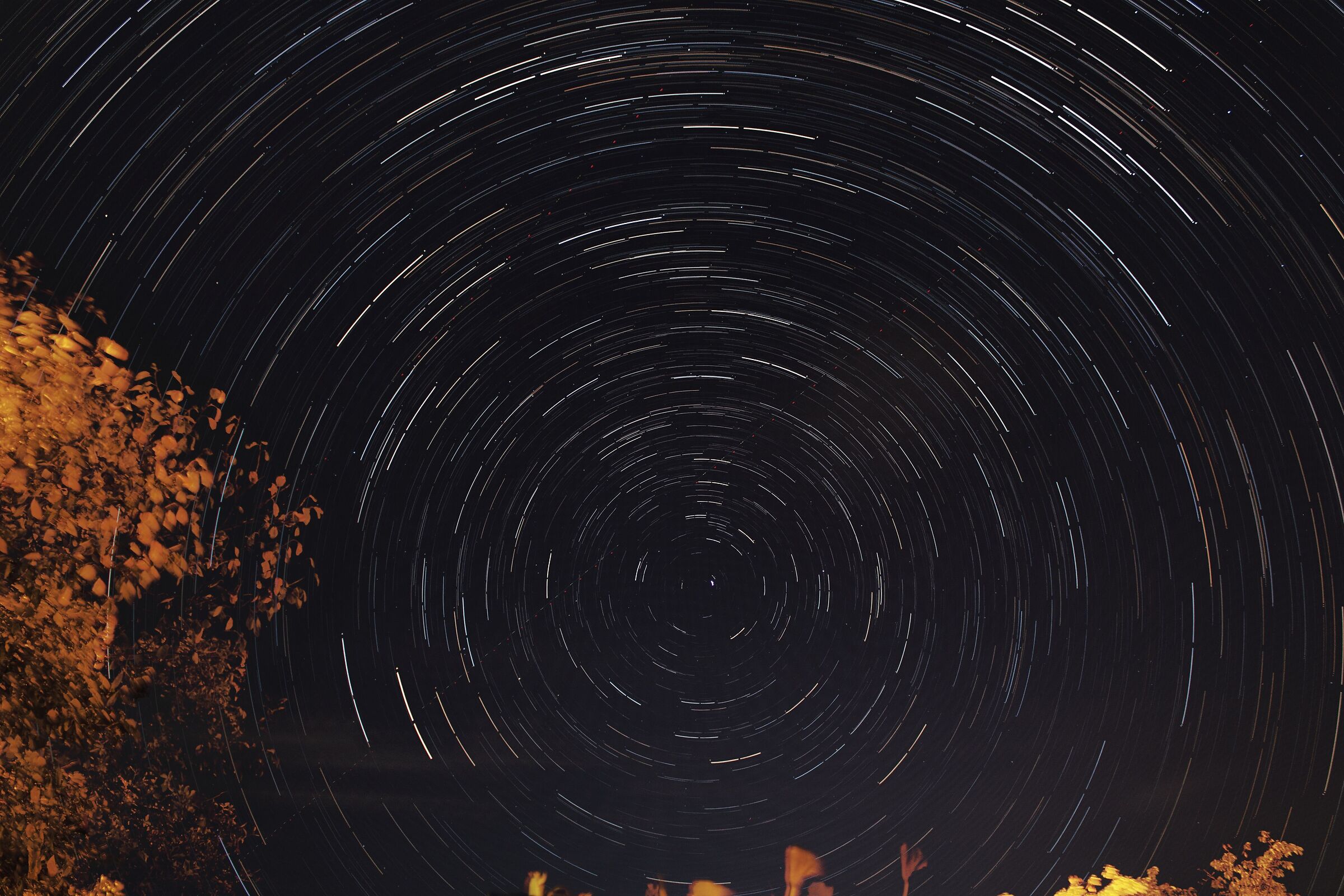 My first startrial (to gain experience)