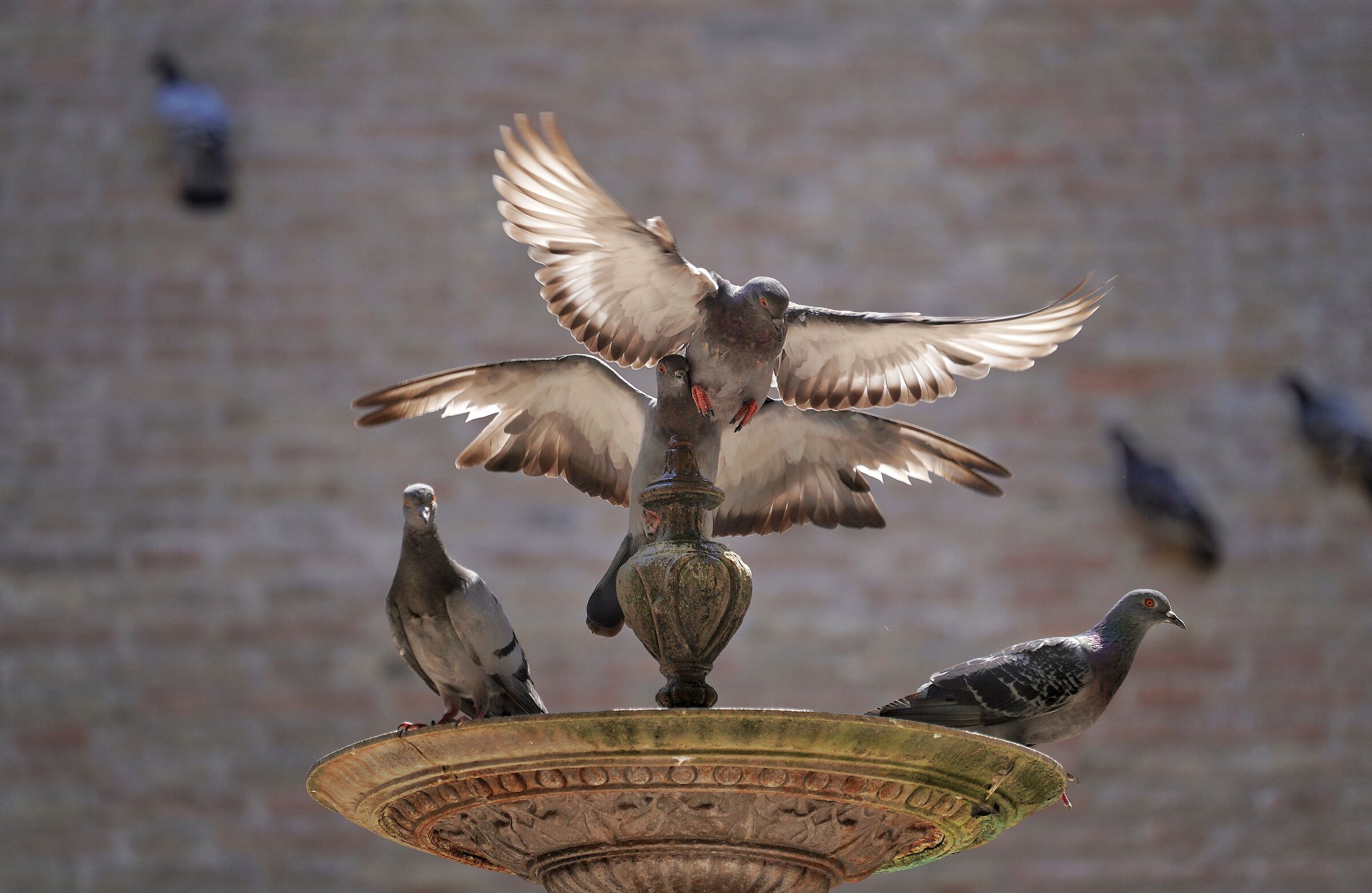 The fountain.