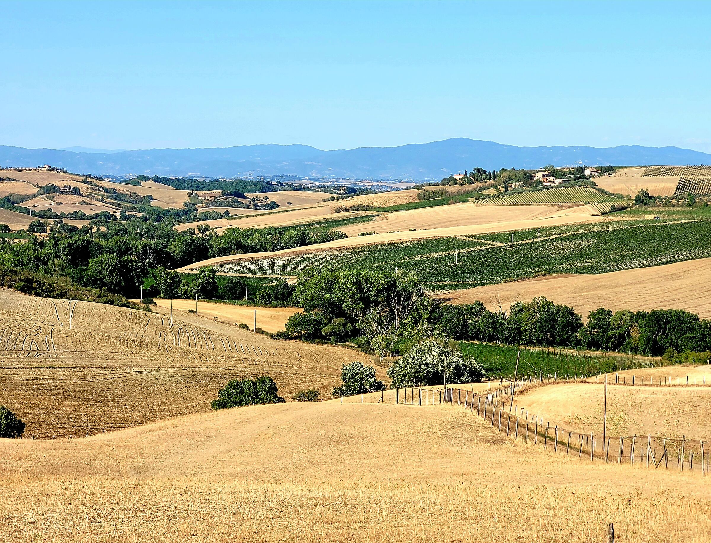 Sienese Hills
