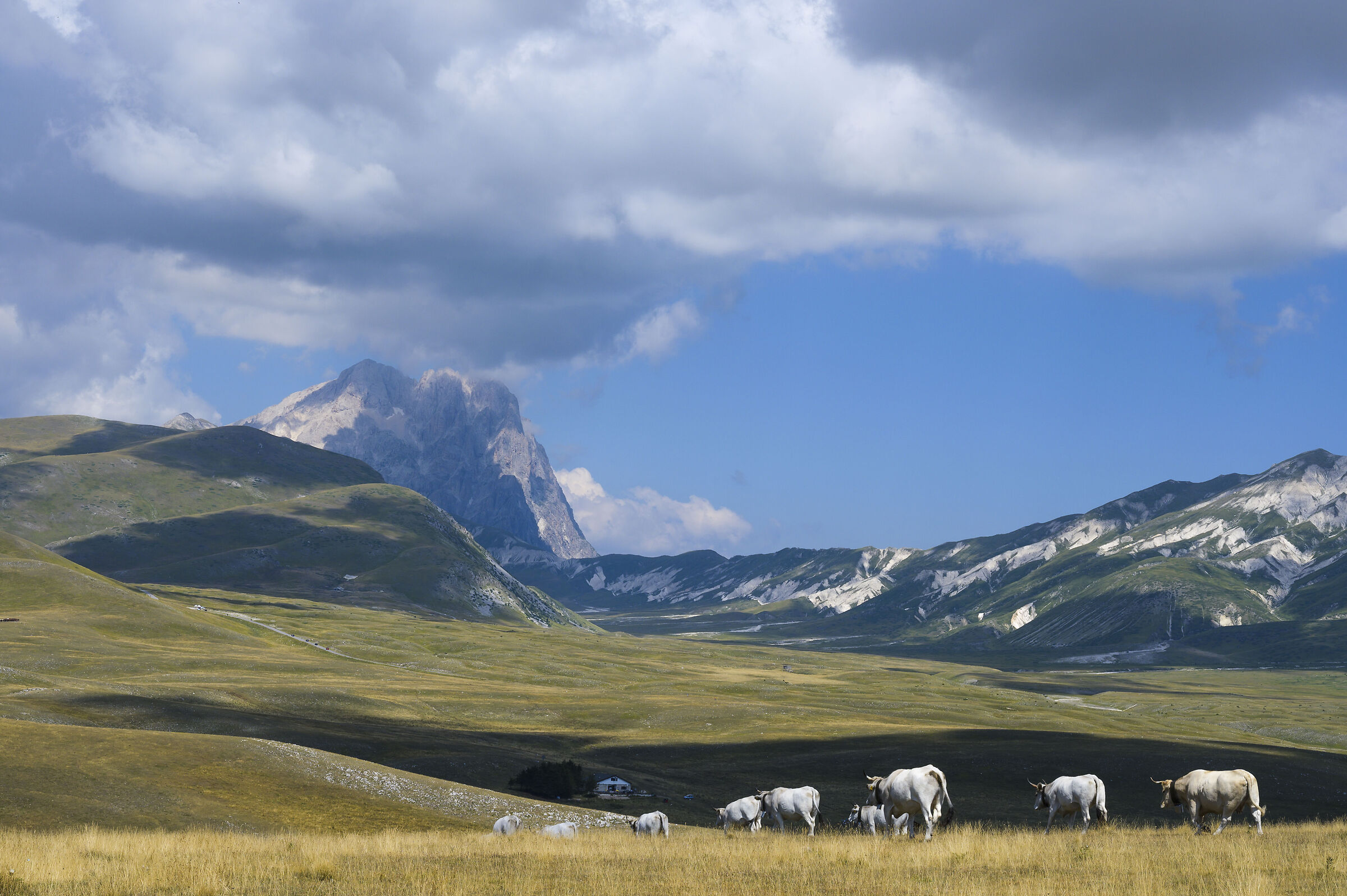 Campo Imperatore (aq)