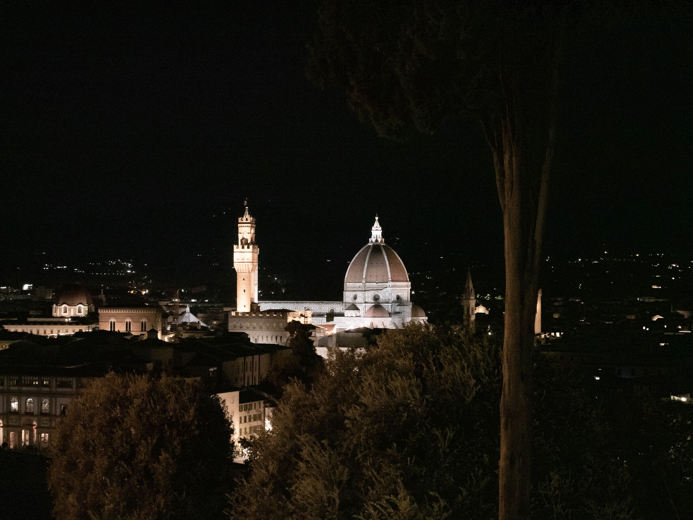 Santa Maria del Fiore