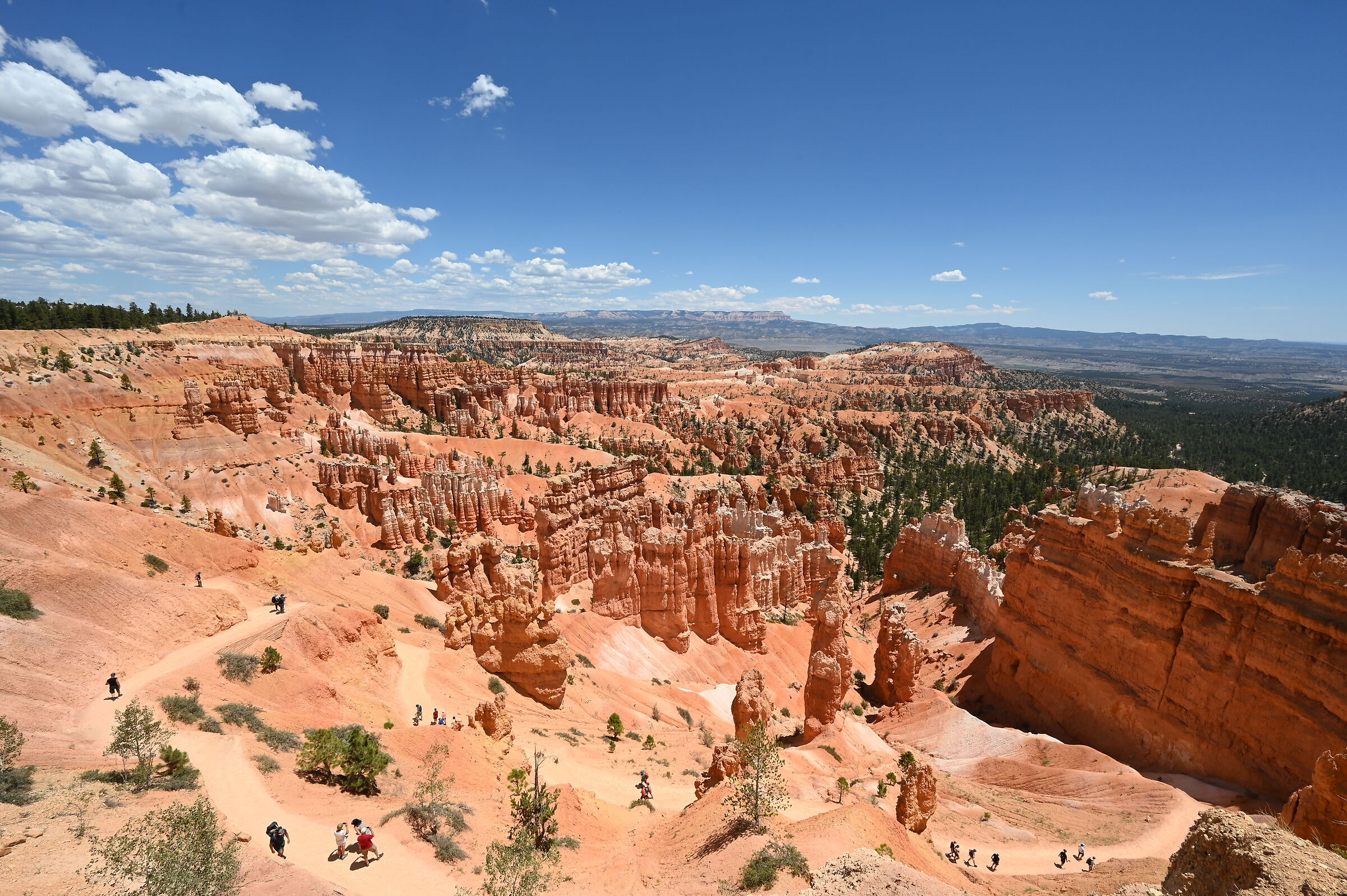 Bryce Canyon 1