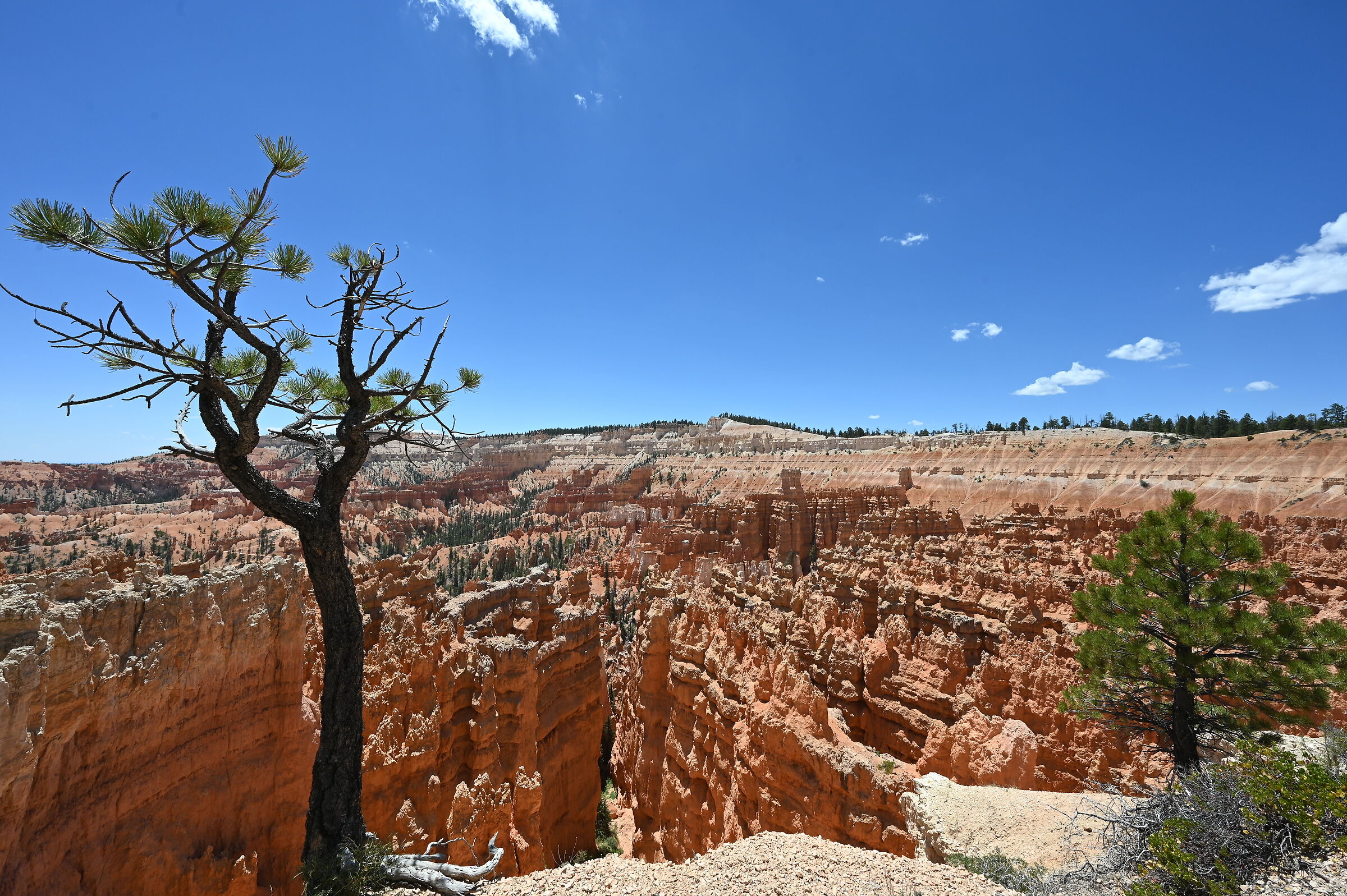 Bryce Canyon 2