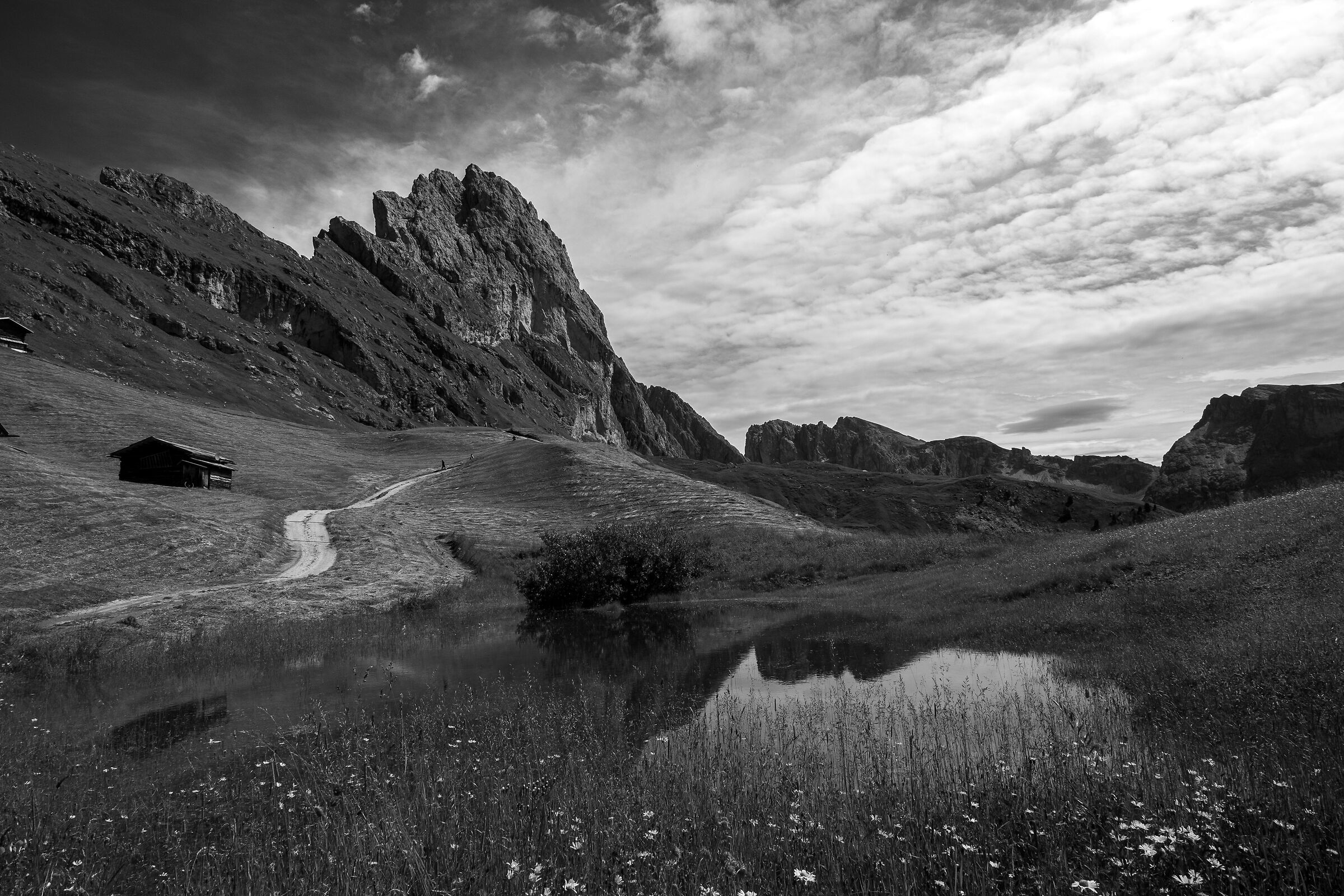 At the edge of the path