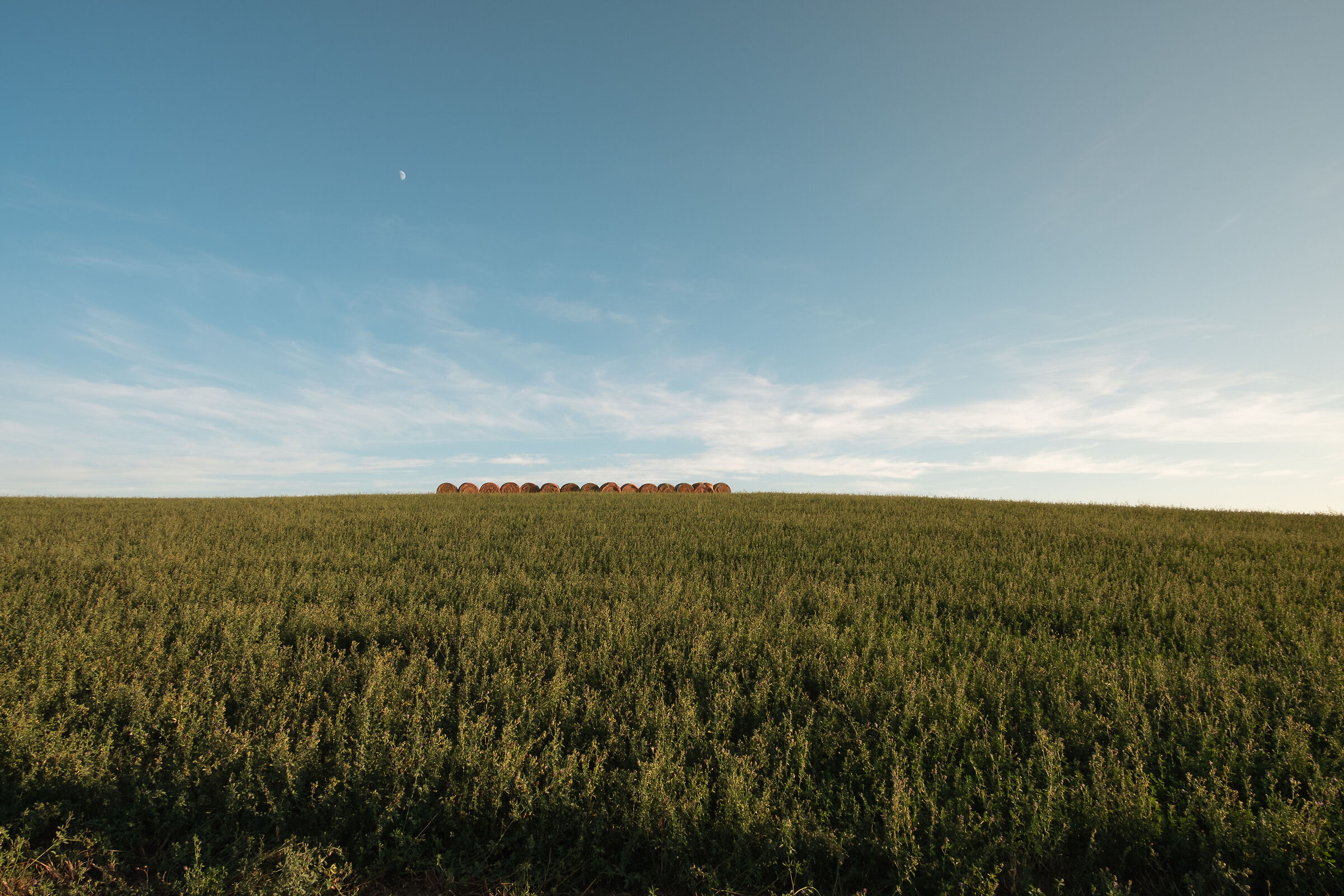 Hay and Moon