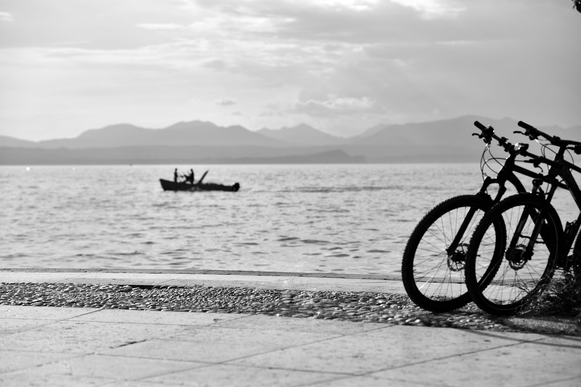 Bikes