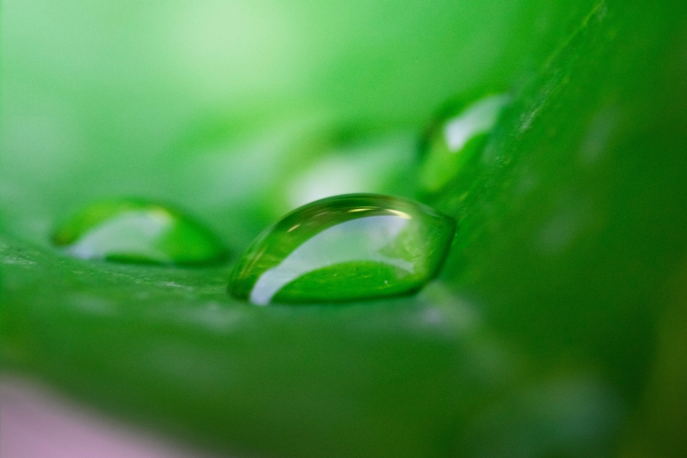 After rain...