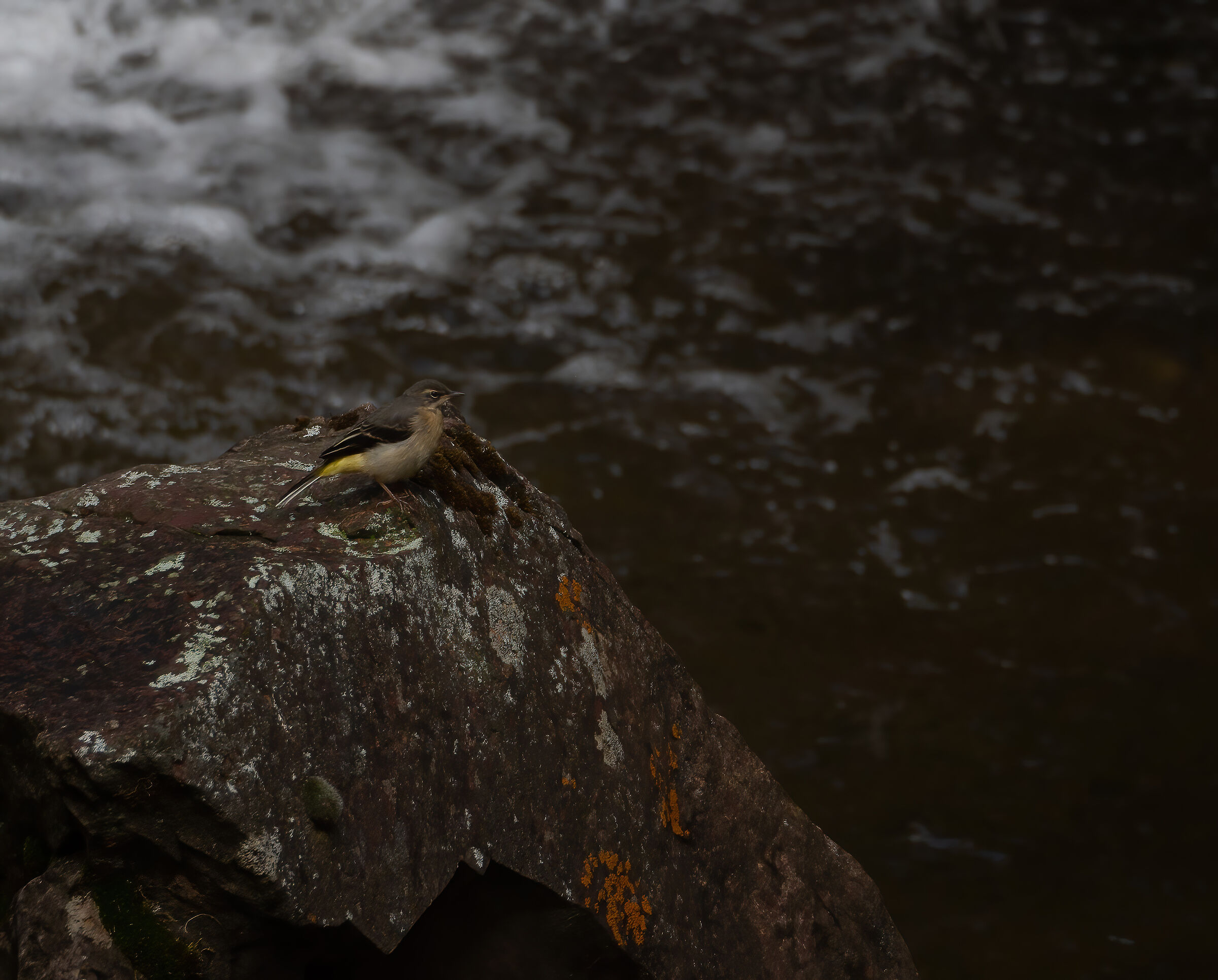 On the stream