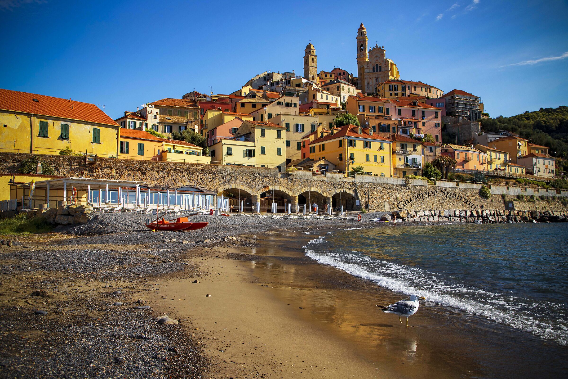 cervo (im) il primo bagnante