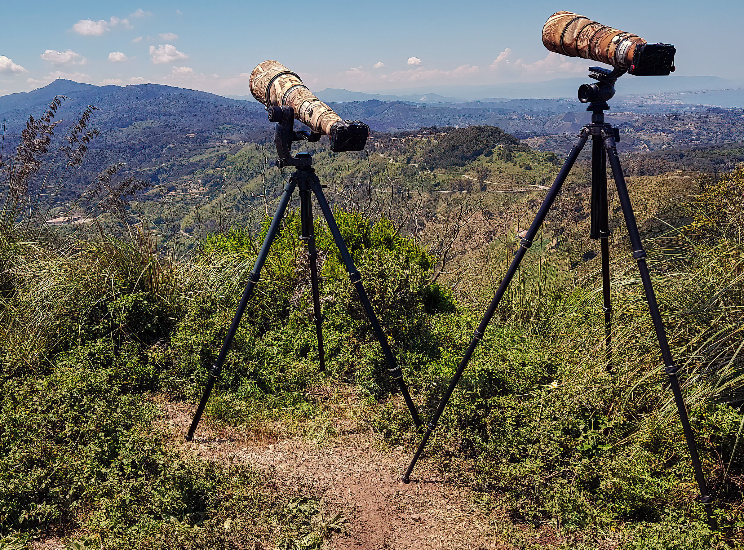 Teleobiettivi in azione