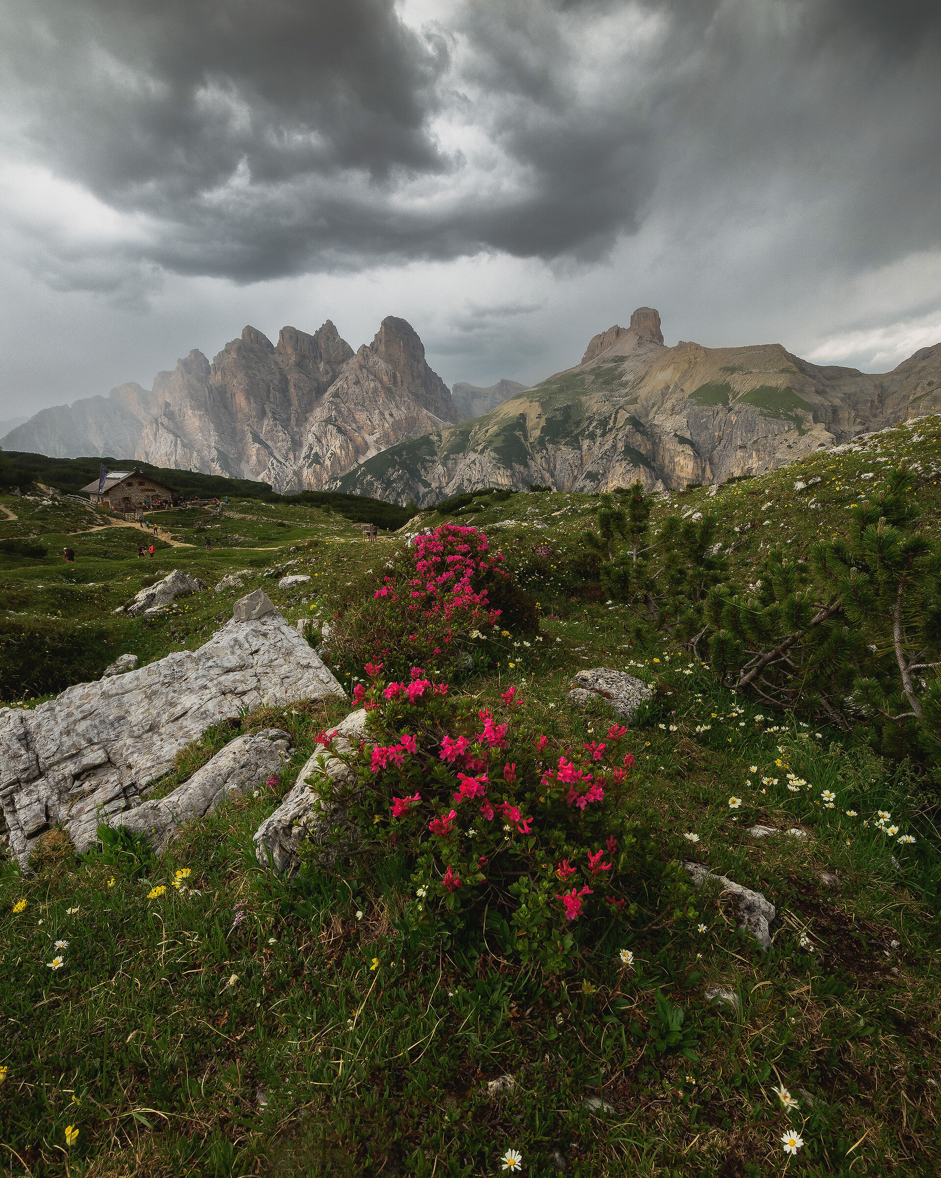 Nelle Dolomiti
