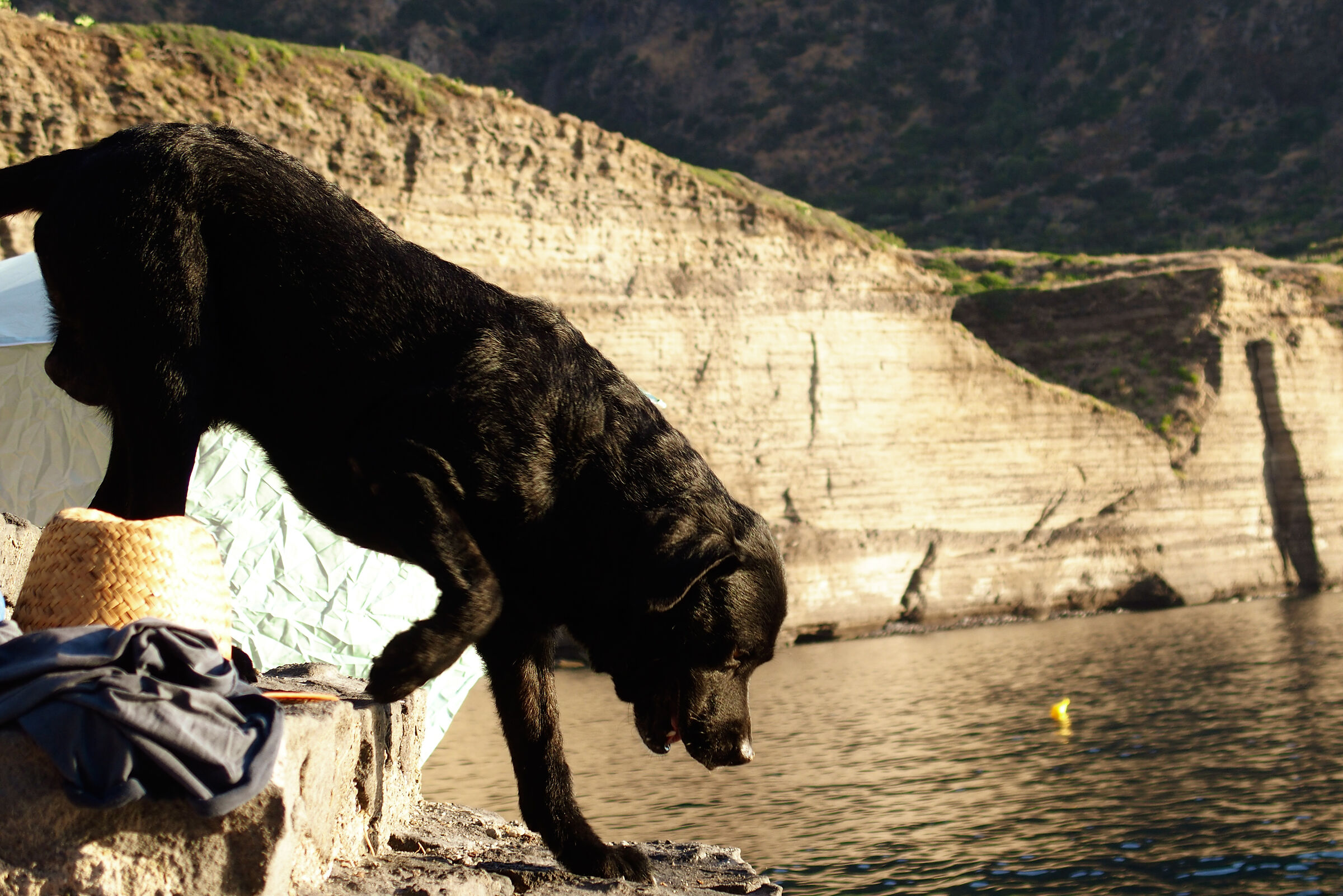 In cerca di frescura