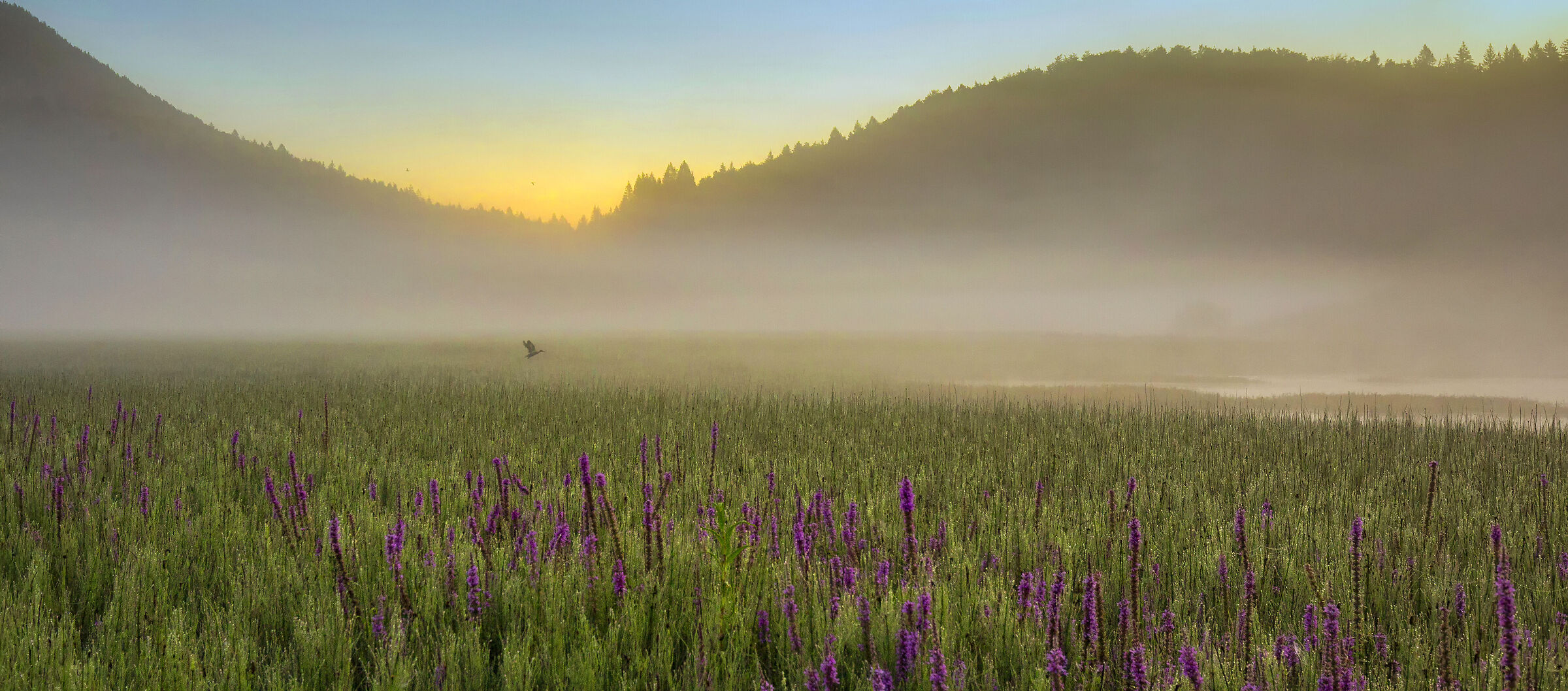 Alba - Laghetto di Andalo