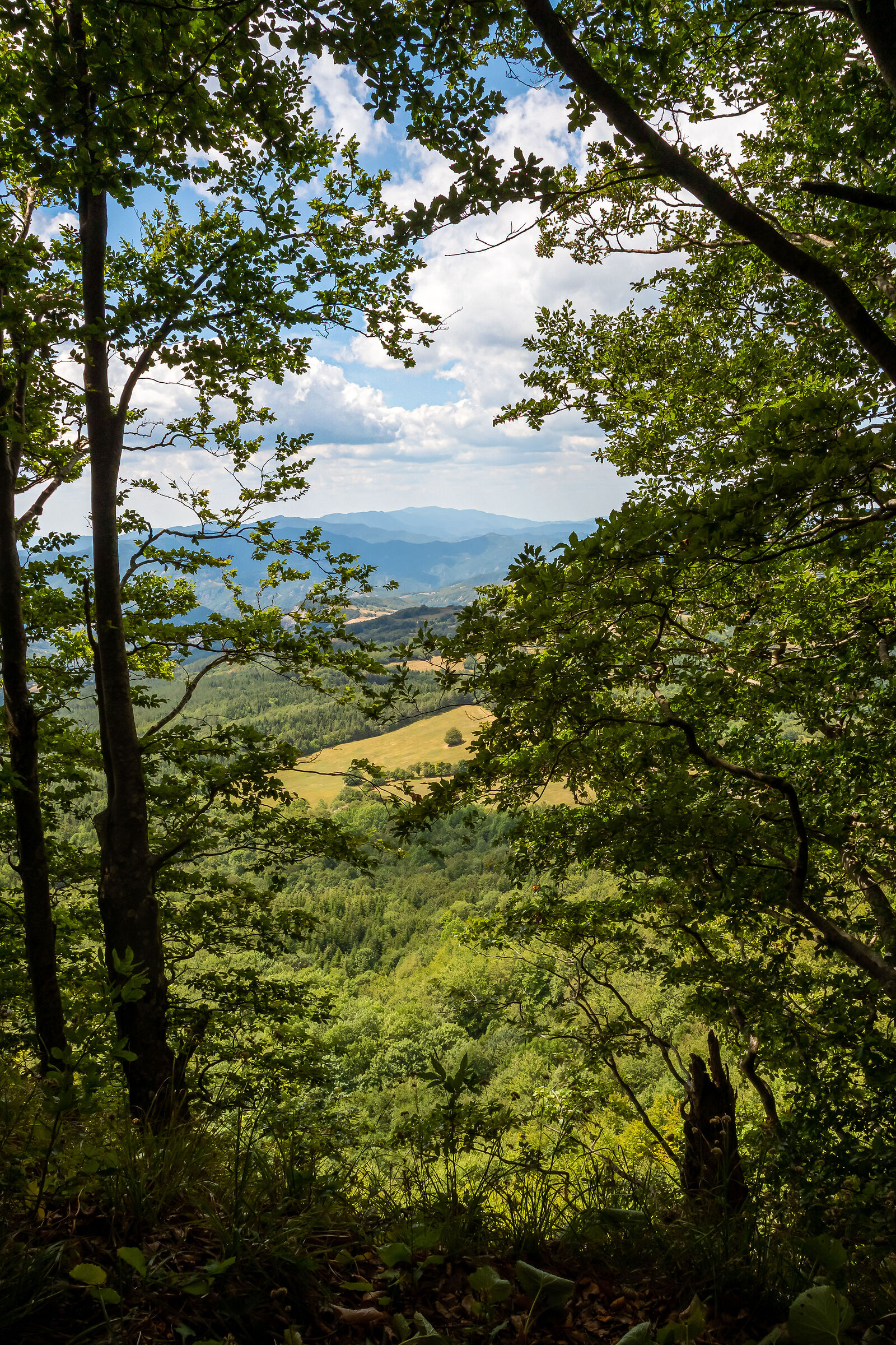Dalla vetta. Monte Fumaiolo