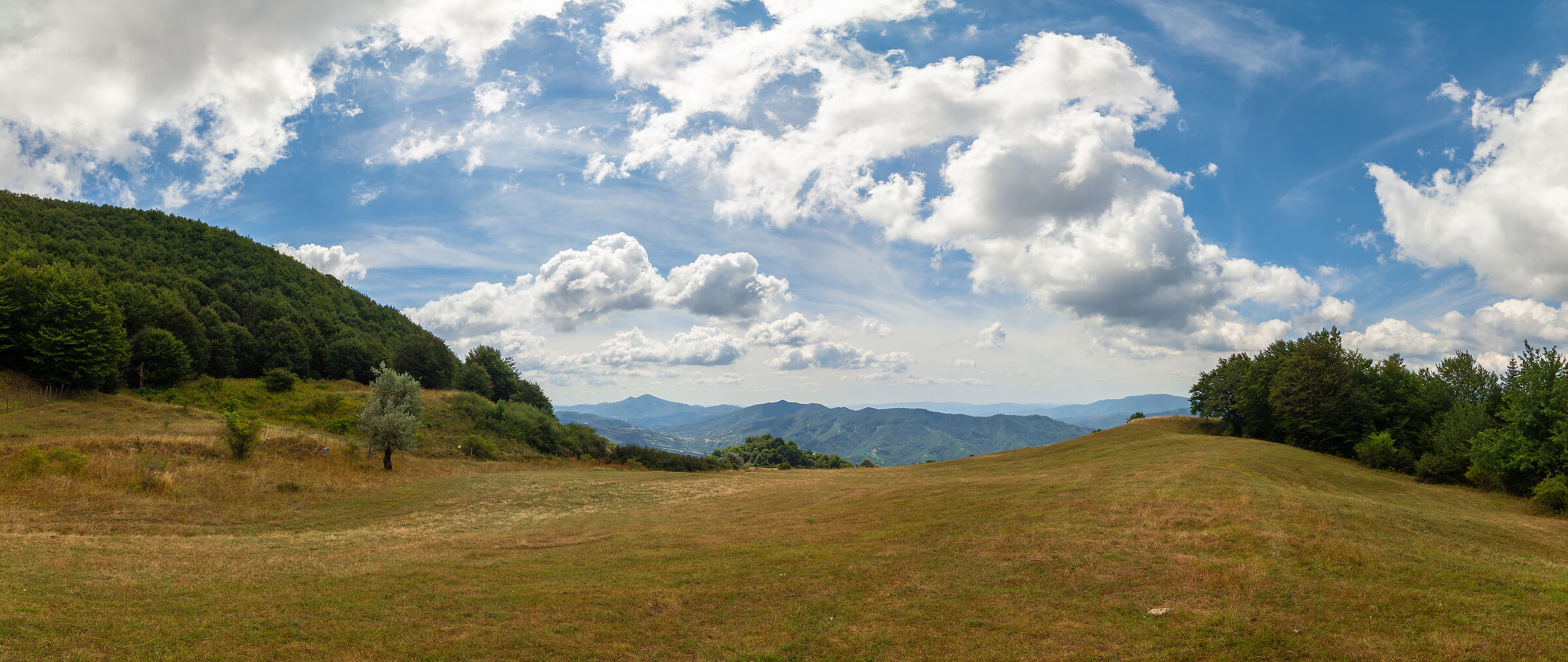 On the path that leads to the Fumaiolo